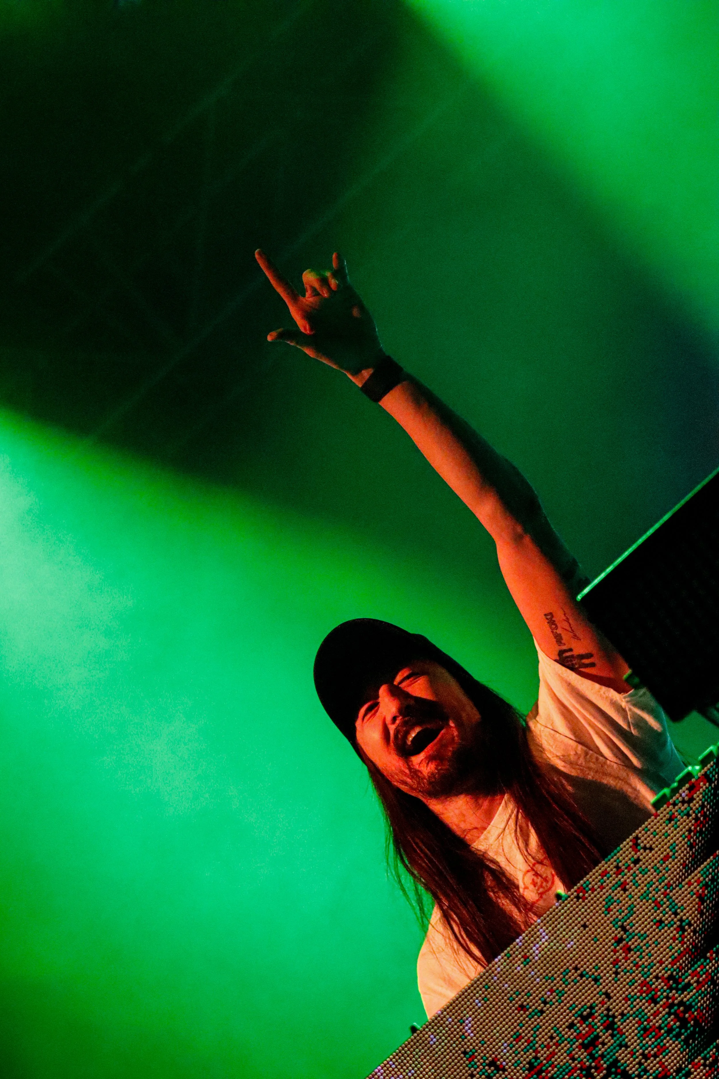 Steveaoiki_photo_hand_up.jpg