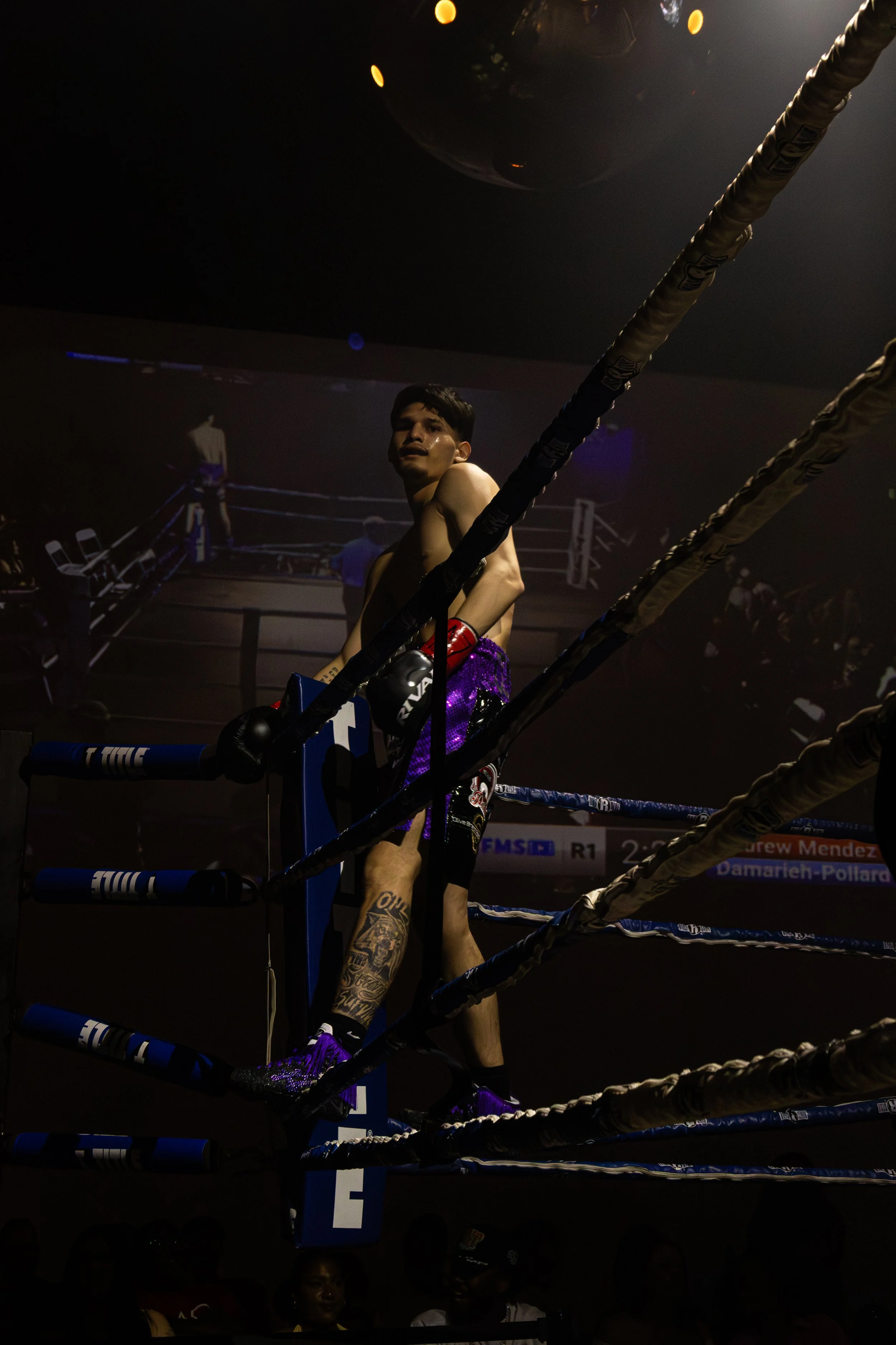 on the ropes.jpg