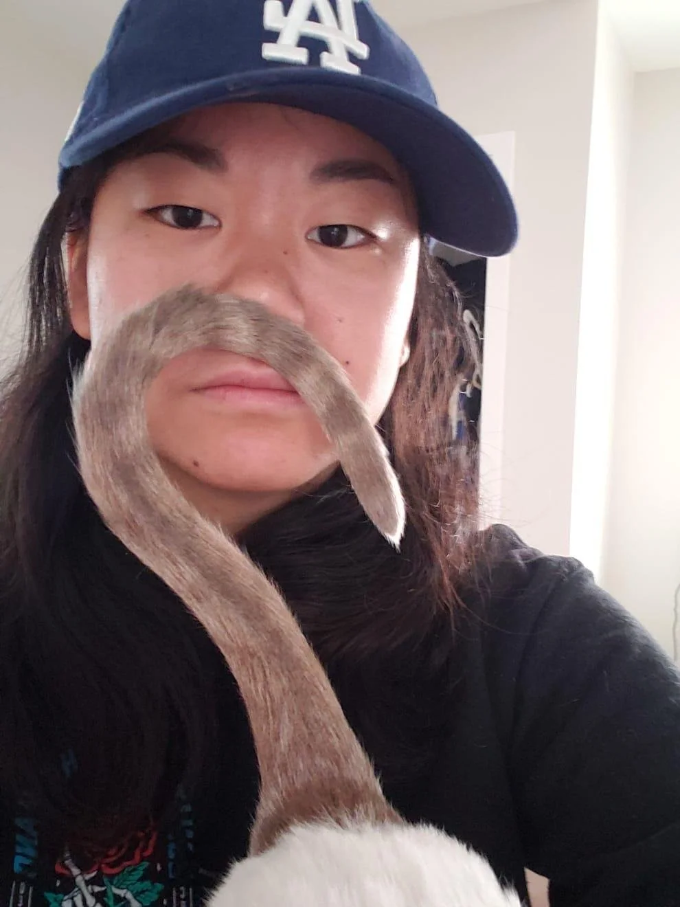 Person with long hair wearing a blue Los Angeles Dodgers baseball cap, with a cat's tail wrapped around their neck and face.