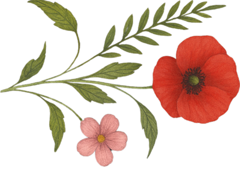 Illustration of green leaves, a pink five-petal flower, and a large red poppy flower with a dark center.