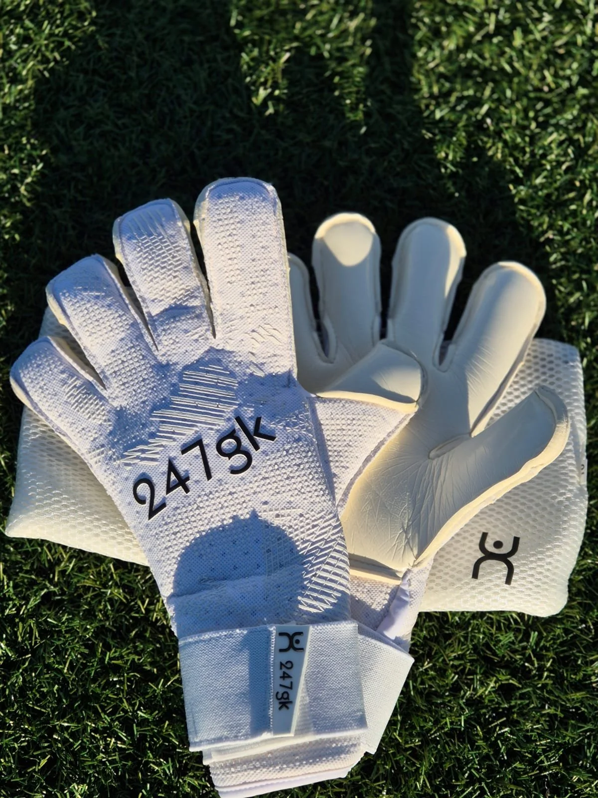 WhatsApp Image 2026-01-18 at 11.16.45.jpeg