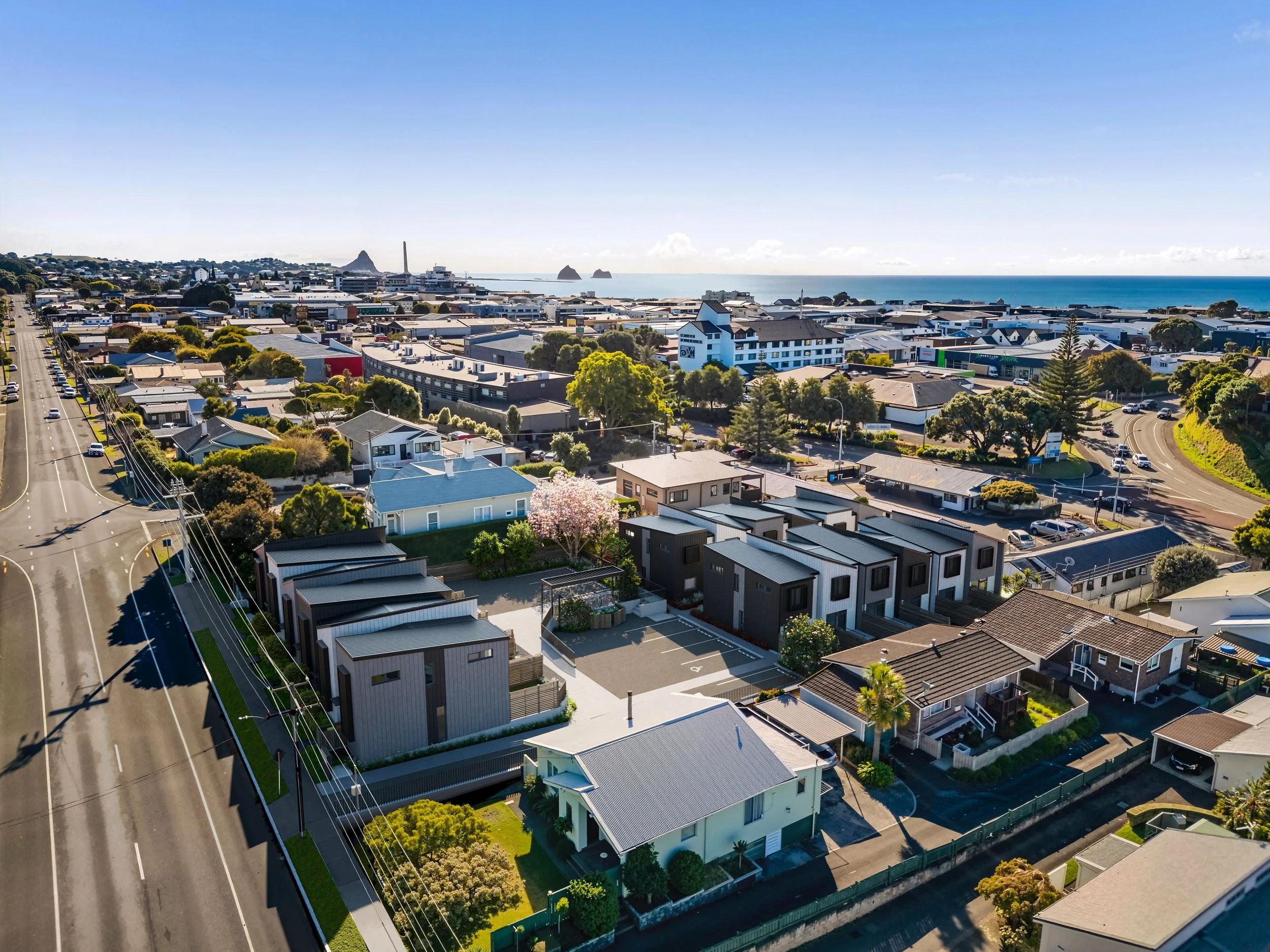 Aerial view of Lemon Street in New Plymouth City, with residential houses, commercial buildings, trees, and the ocean in the background.