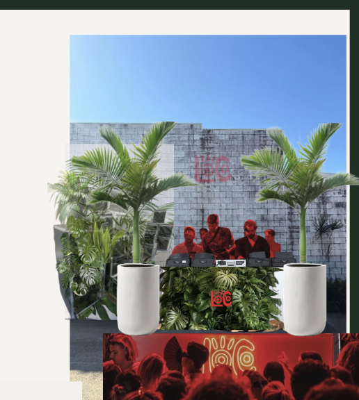 Outdoor scene with a DJ setup, tropical plants, and a crowd at sunset with clear sky.
