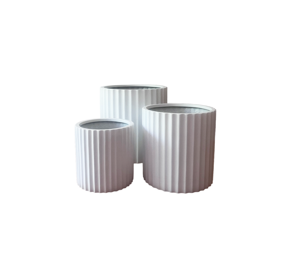 YES_GOOD_1-1_amigo_white_pot+no+background__3297.png