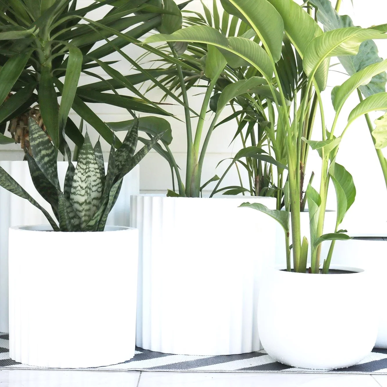 Why Fibrestone Pots Are Perfect for Sunshine Coast Homes &amp; Gardens