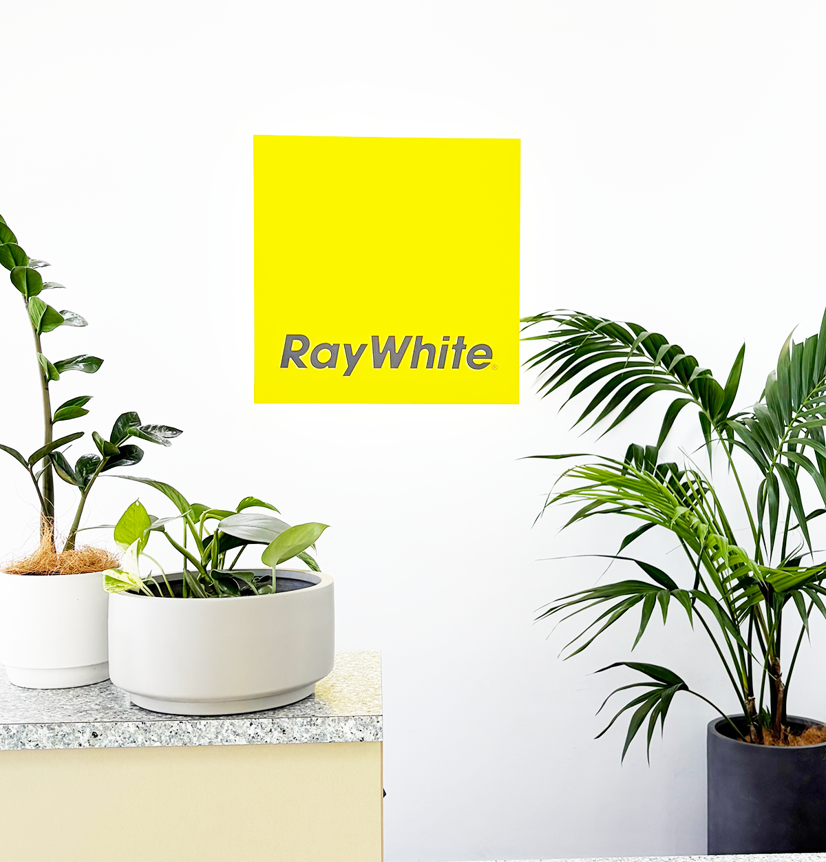 HERO raywhite_sign good 6295.png