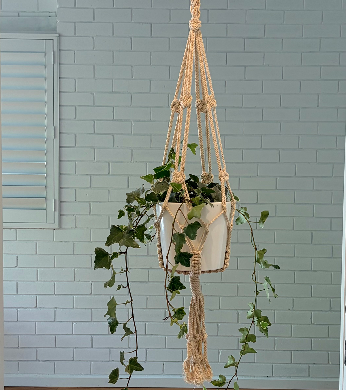 HANGING MBBC_6615.png