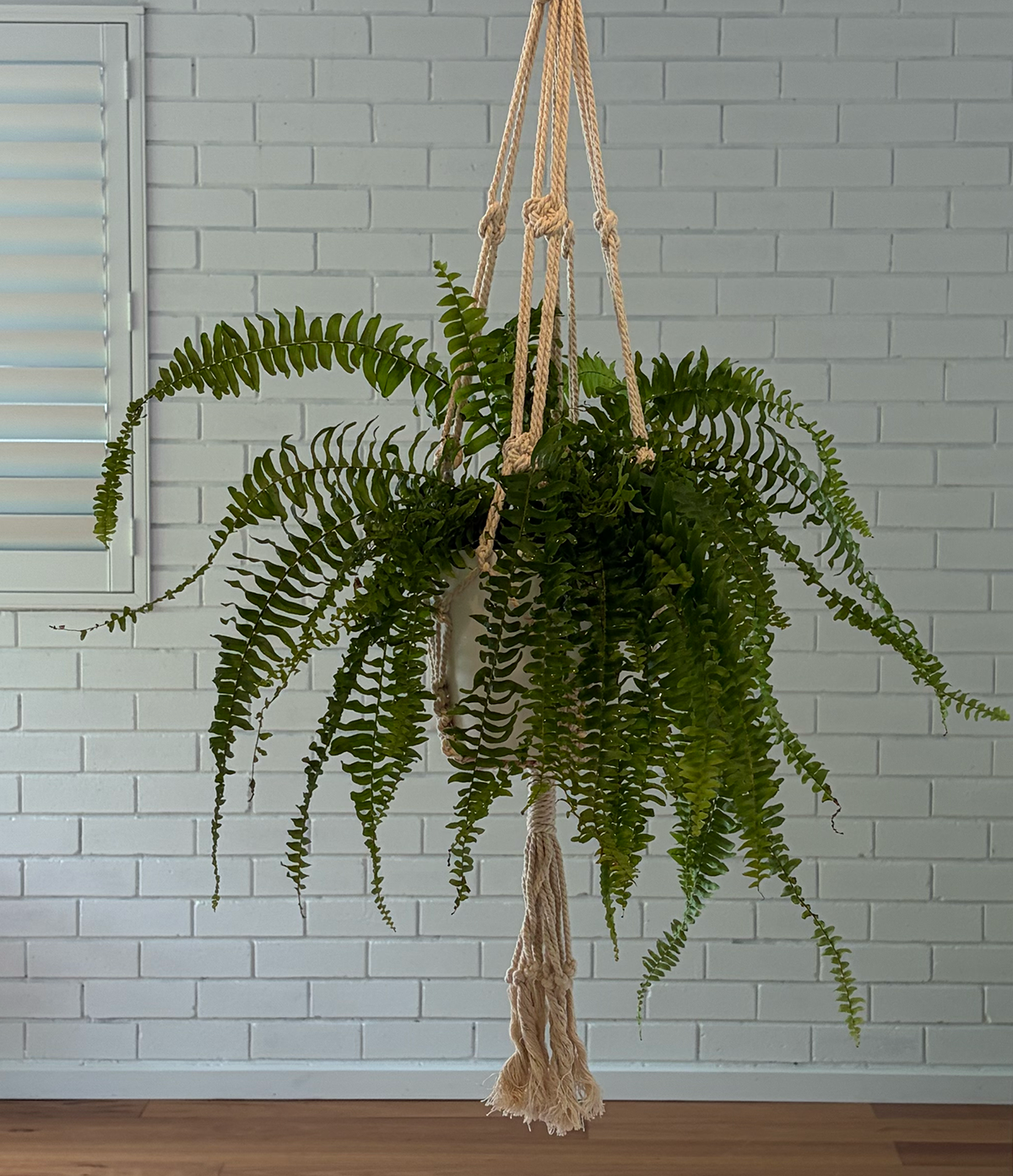 HANGING MBBC_6624 2.png