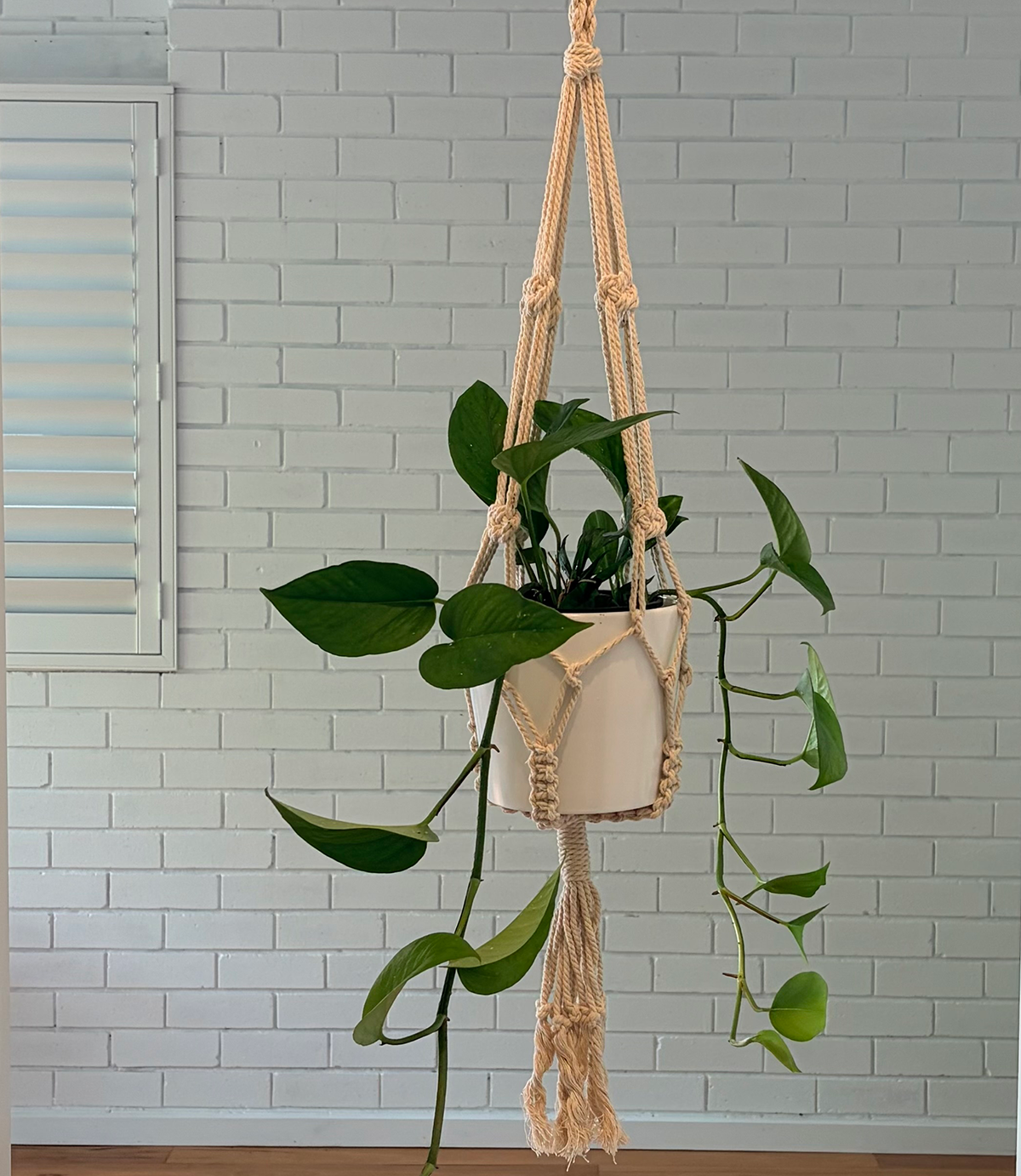 HANGING MBBC_6619.png
