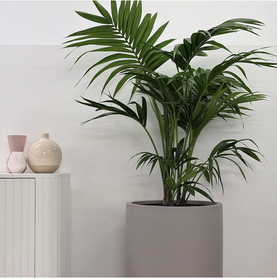 Watermark Constructions — Calm, Architectural Greenery for a Modern Office
