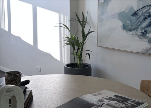 Riverside Esplanade, Mooloolaba — Luxury Penthouse Plant Styling