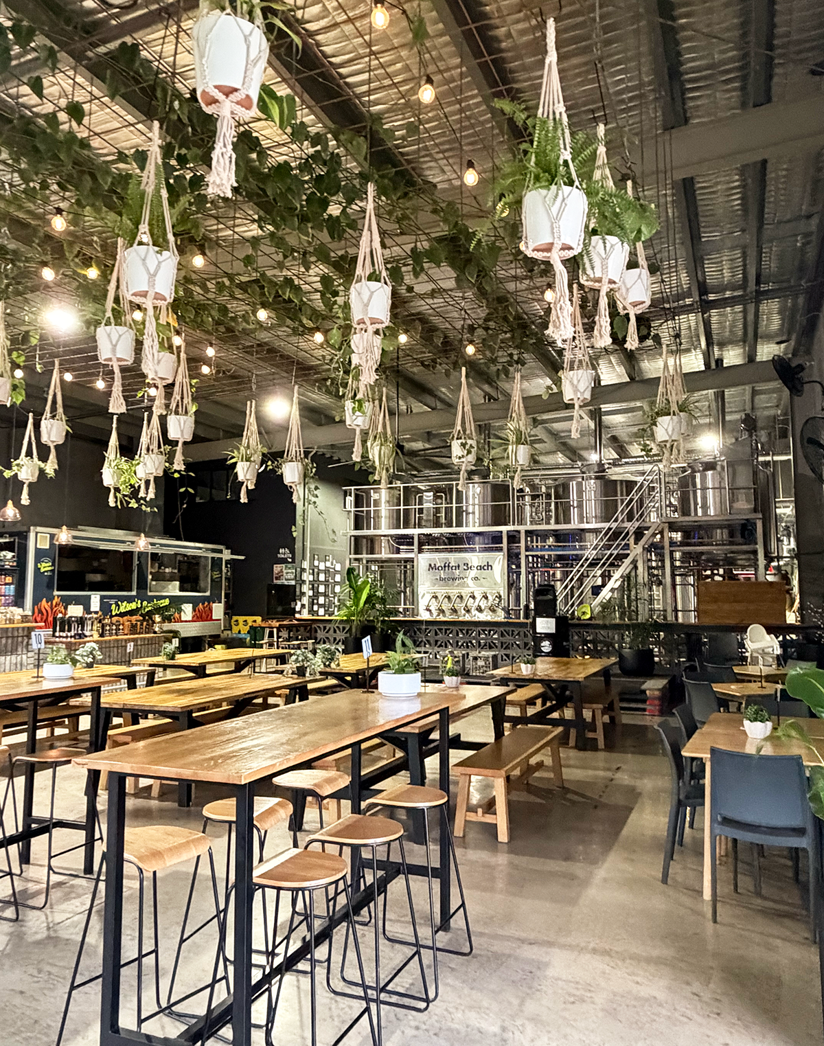 Moffat Beach Brewing Co — Where Craft Beer Meets Living Green