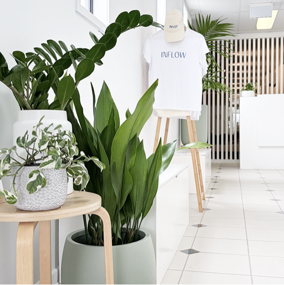 InFlow Pilates Caloundra — A Living, Breathing Studio Space