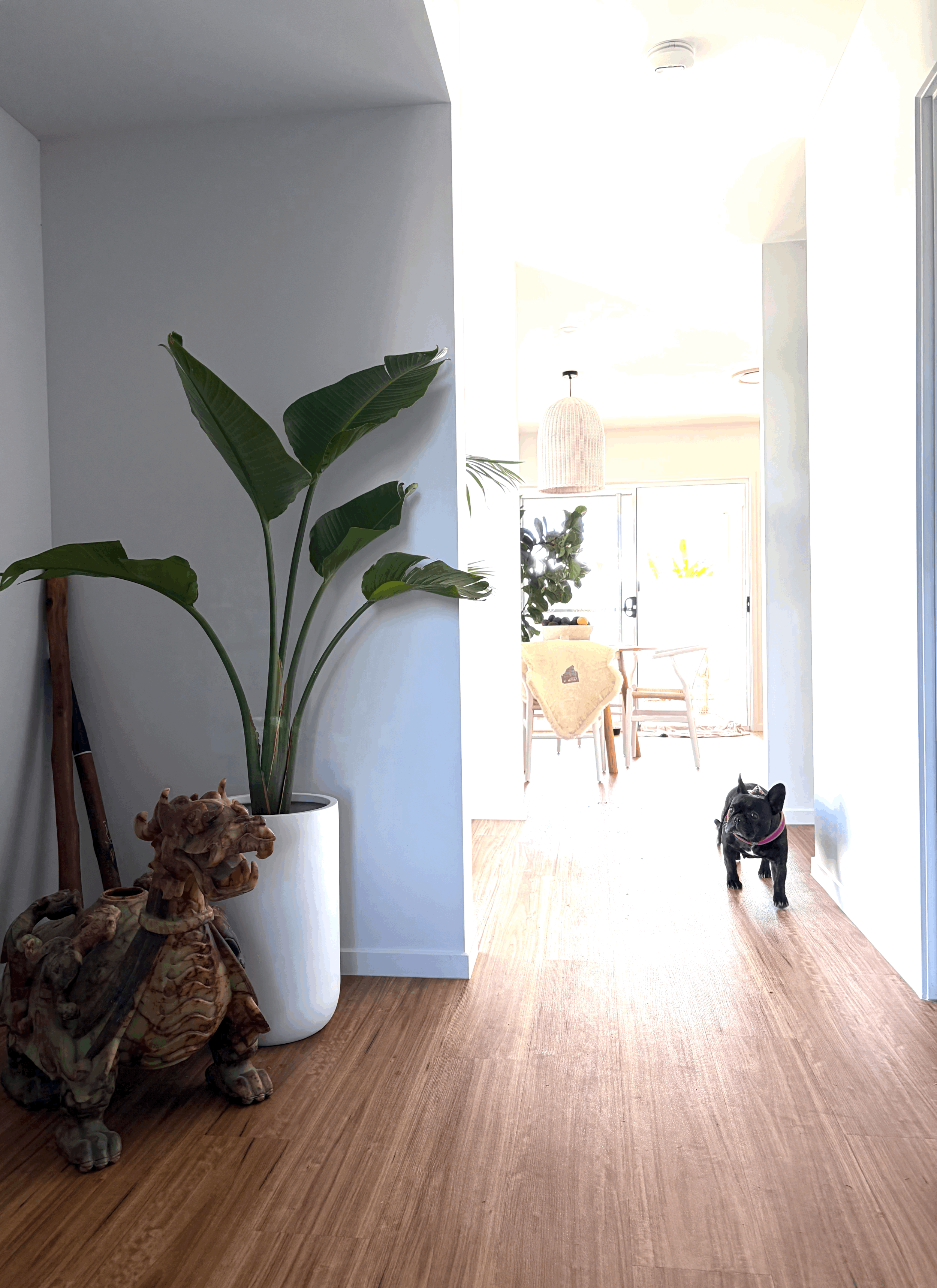 Property Plant Styling: 31 North Village Drive, Nirimba
