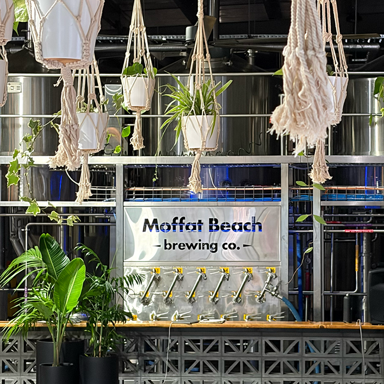 Moffat Beach Brewing Co — Where Craft Beer Meets Living Green