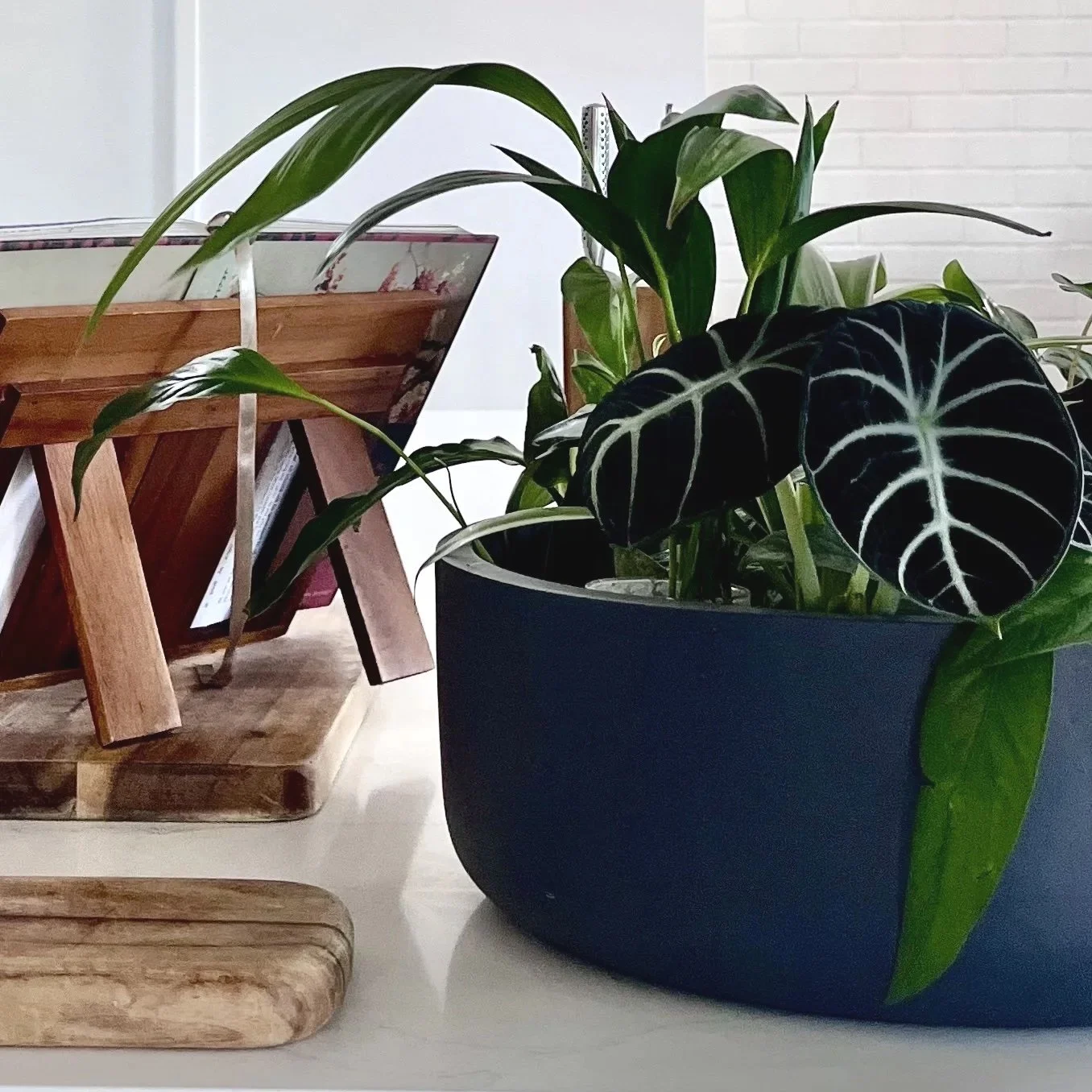 Oversized Island Jungle Curation – Statement Jungle, Sculptural Tropical Greenery