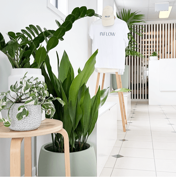 Indoor space with white walls and tiled floor, featuring various potted green plants, a white t-shirt with 