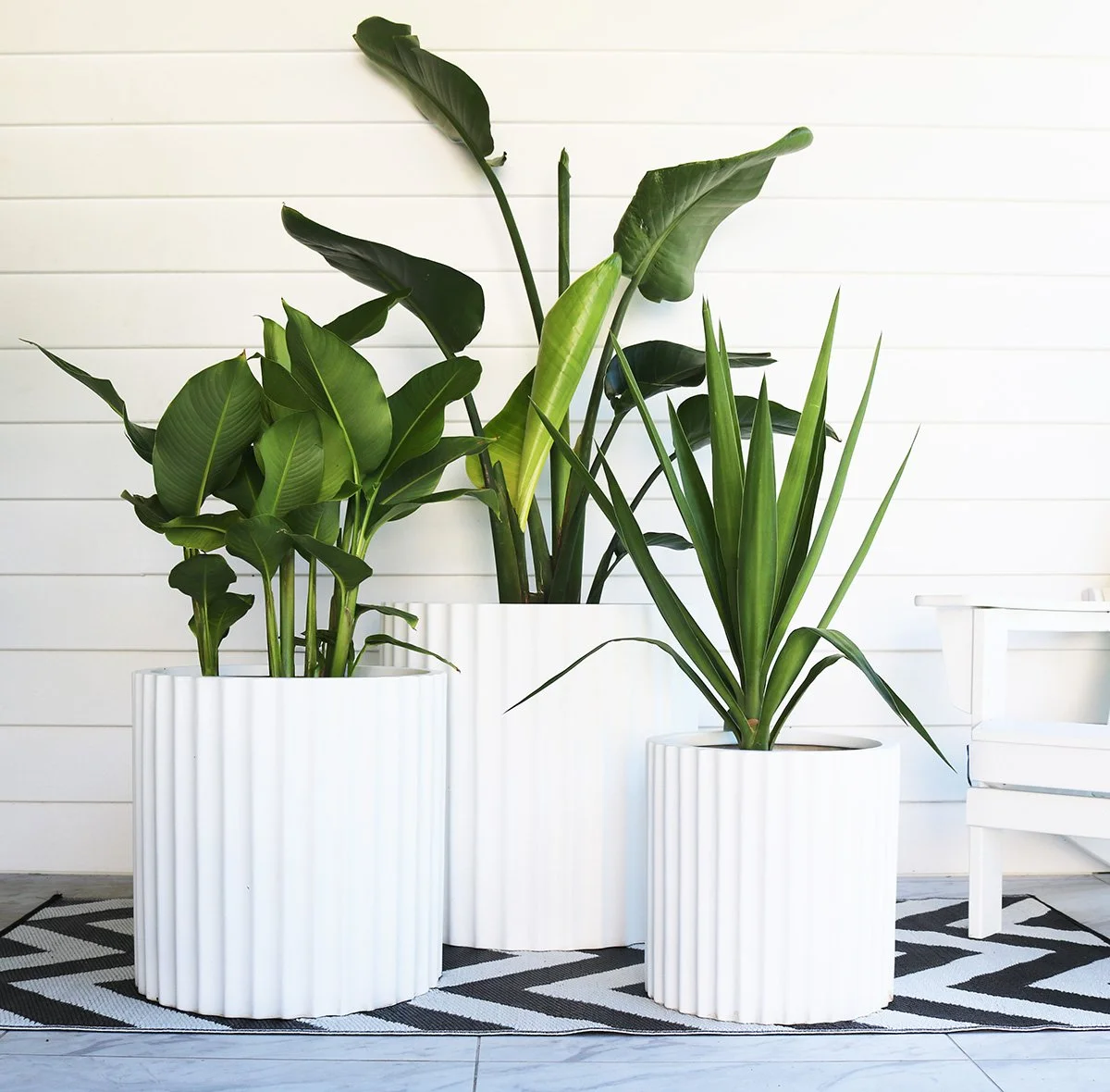 Stripe Outdoor Pot & Plant Collection (set of 3 Pots + 3 Plants)