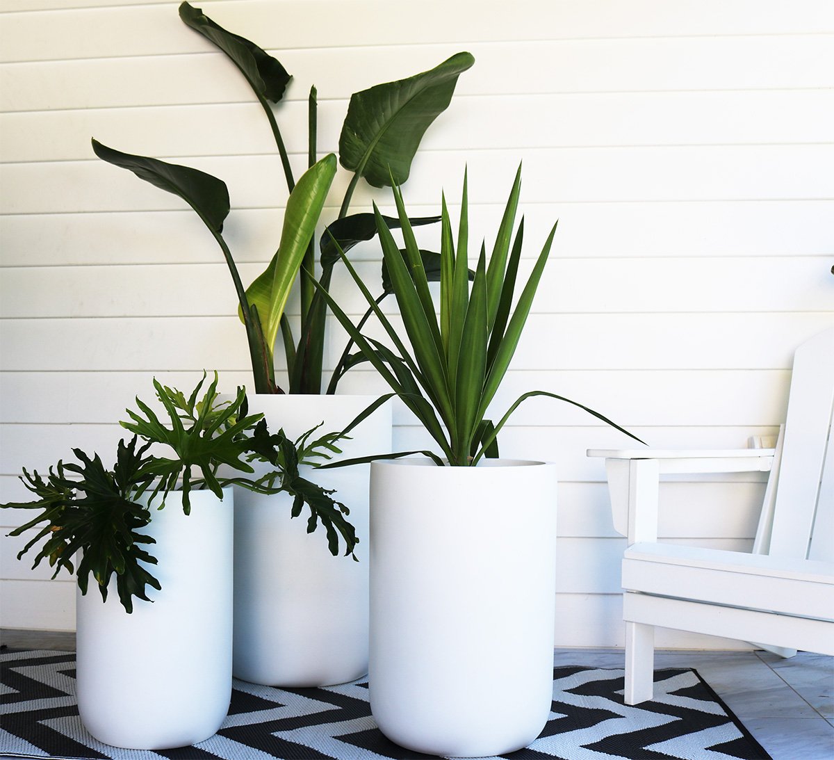 Tall Outdoor Pot & Plant Collection (set of 3 Pots + 3 Plants)