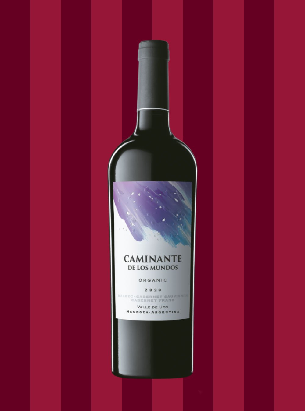 caminante-de-los-mundos-blend.jpg