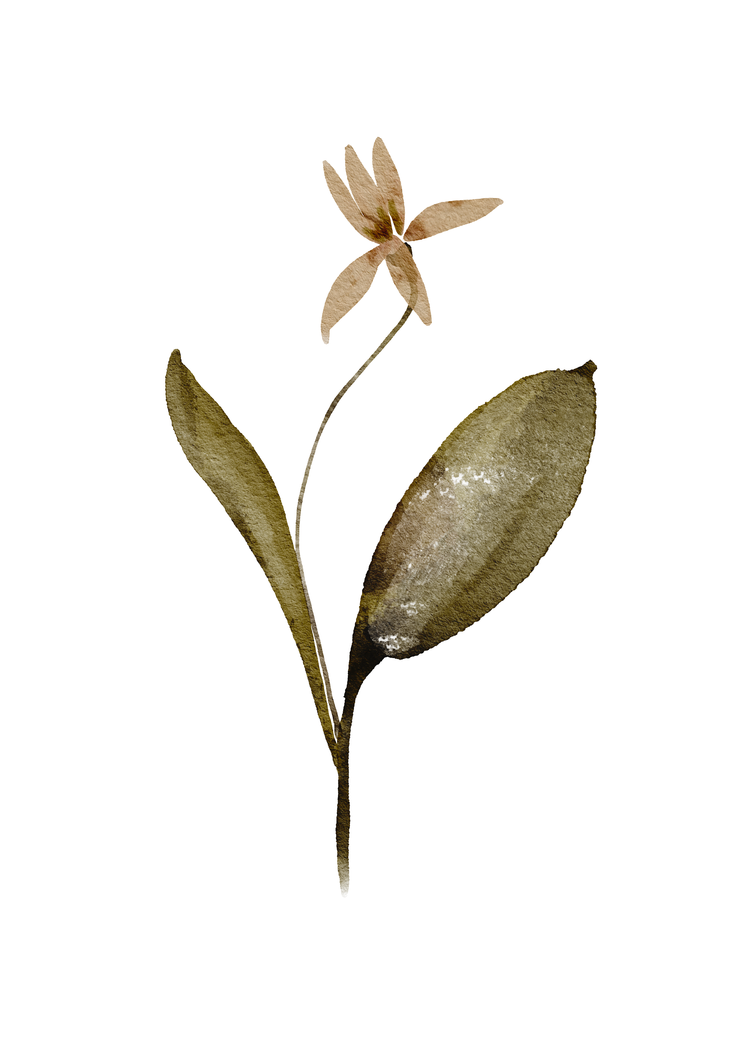 Habilitation services graphics