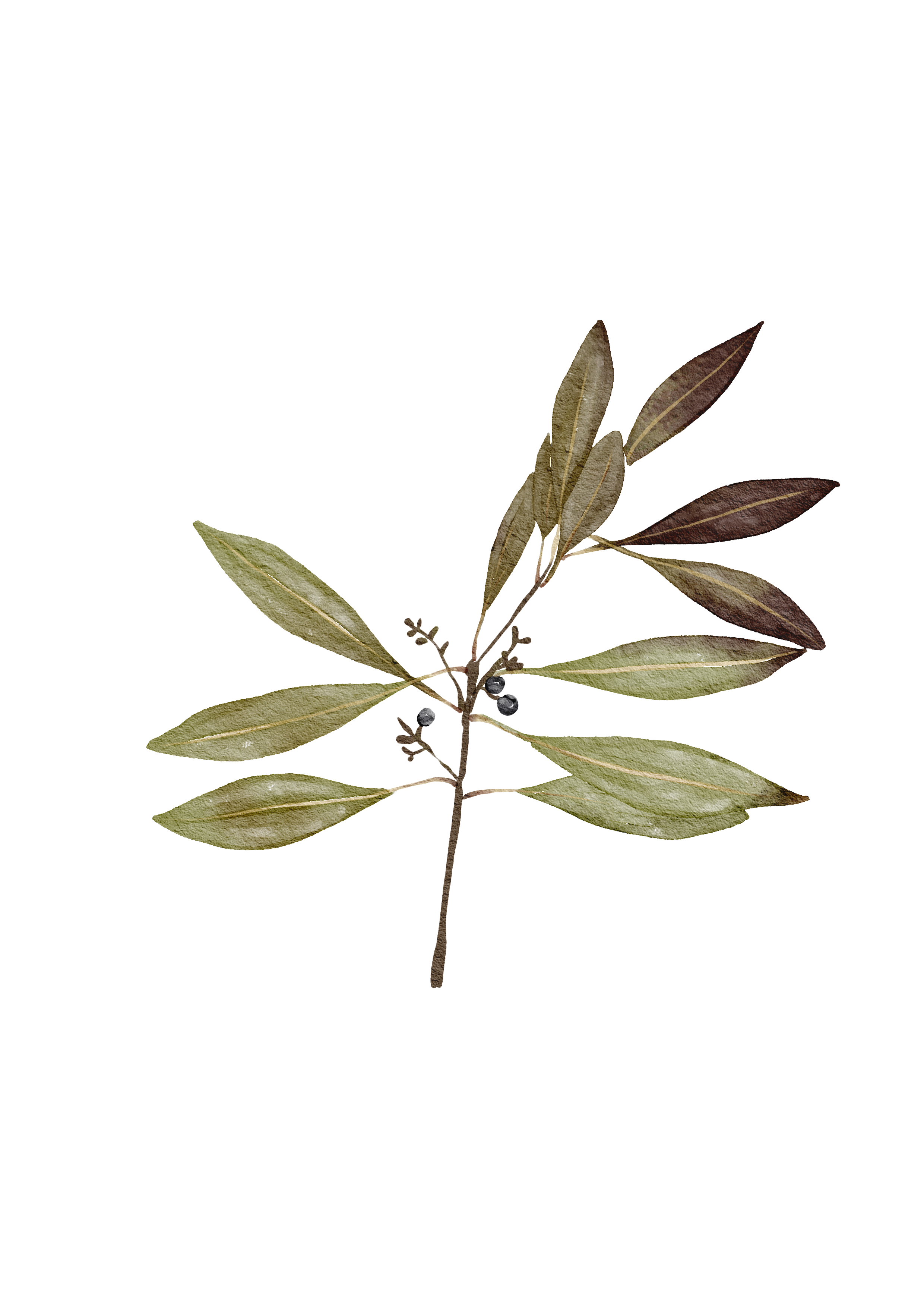 Daycare for adults graphics