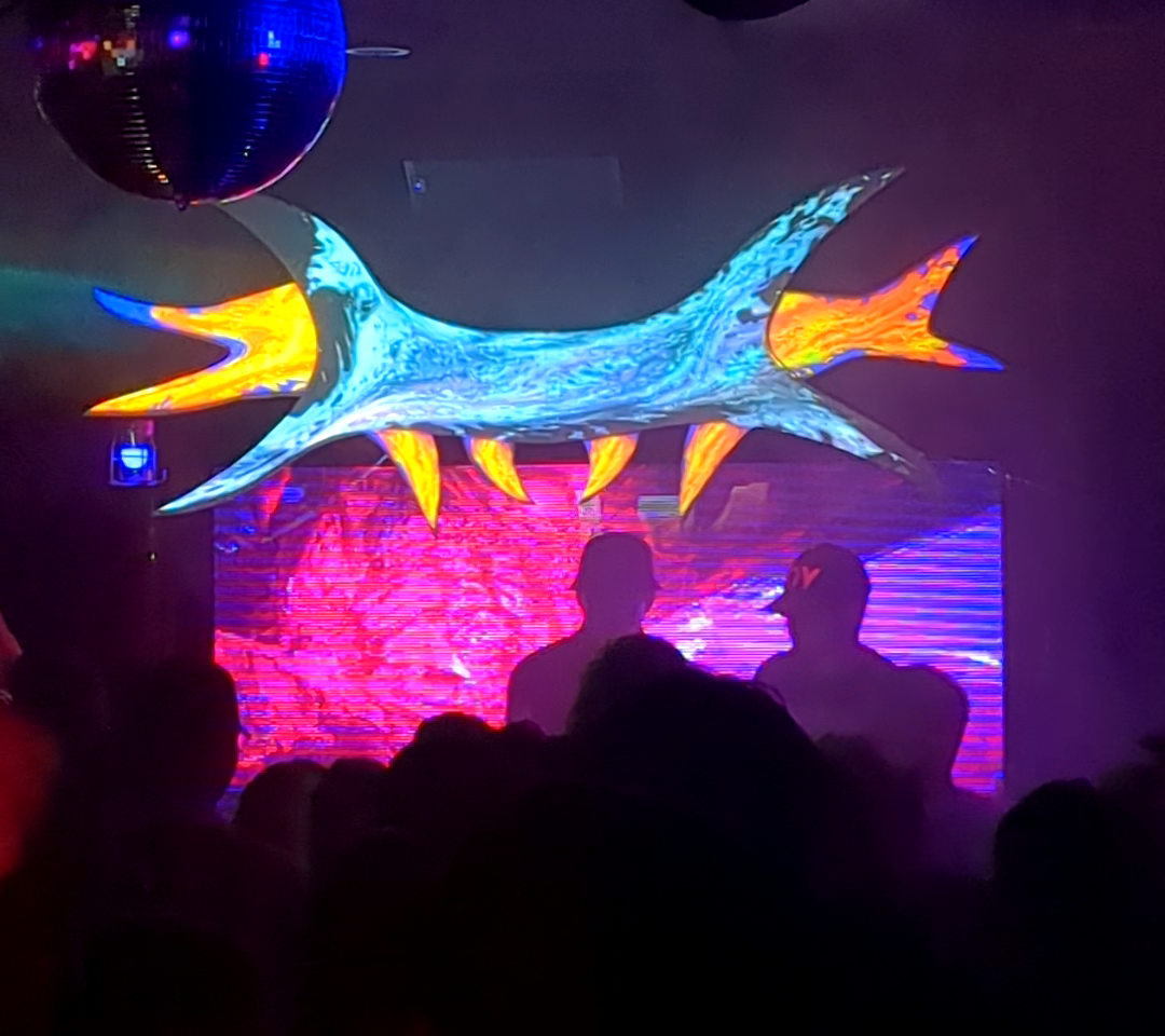 My visuals during Wrist Control's set