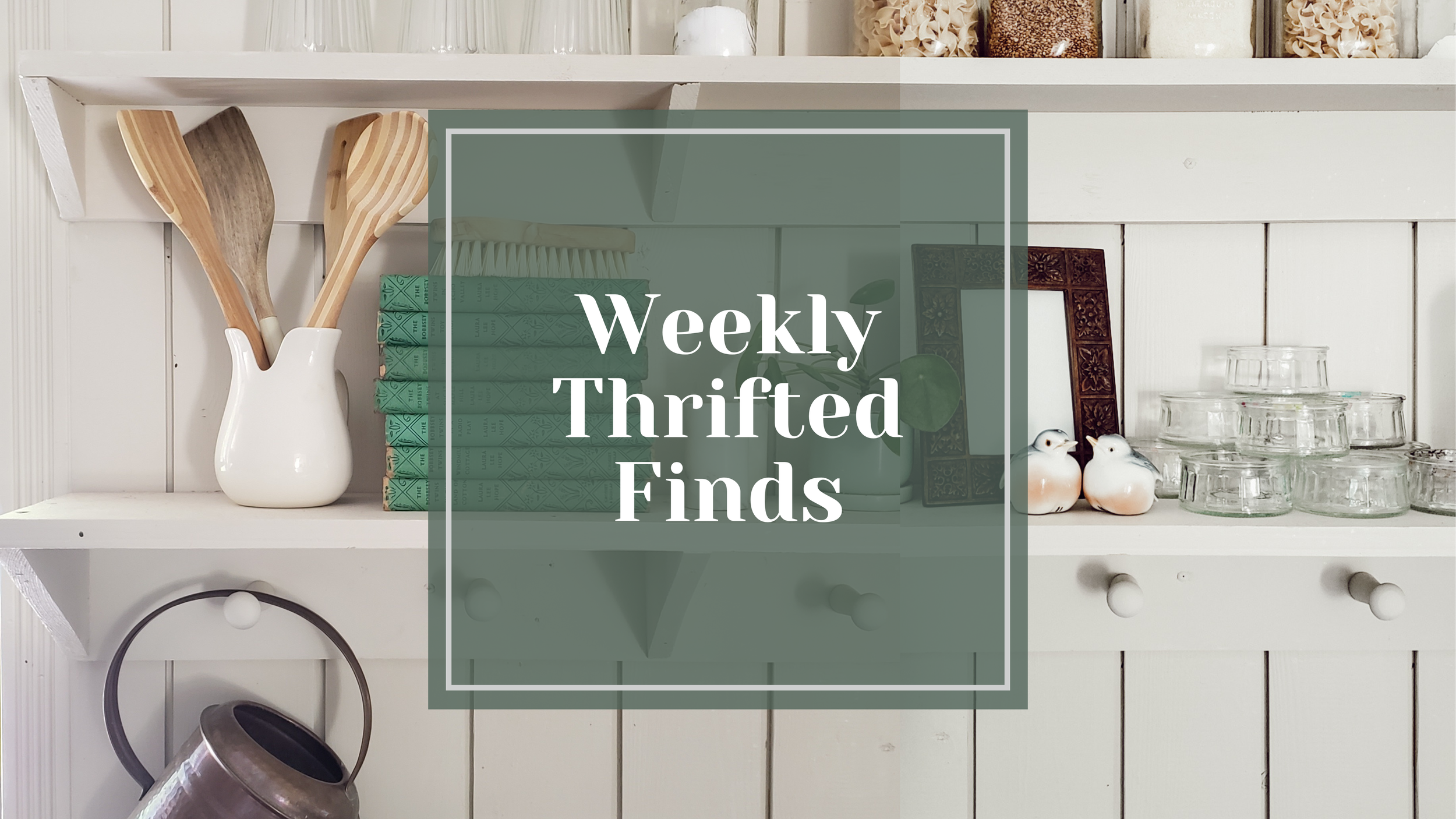 Weekly Thrifted Finds