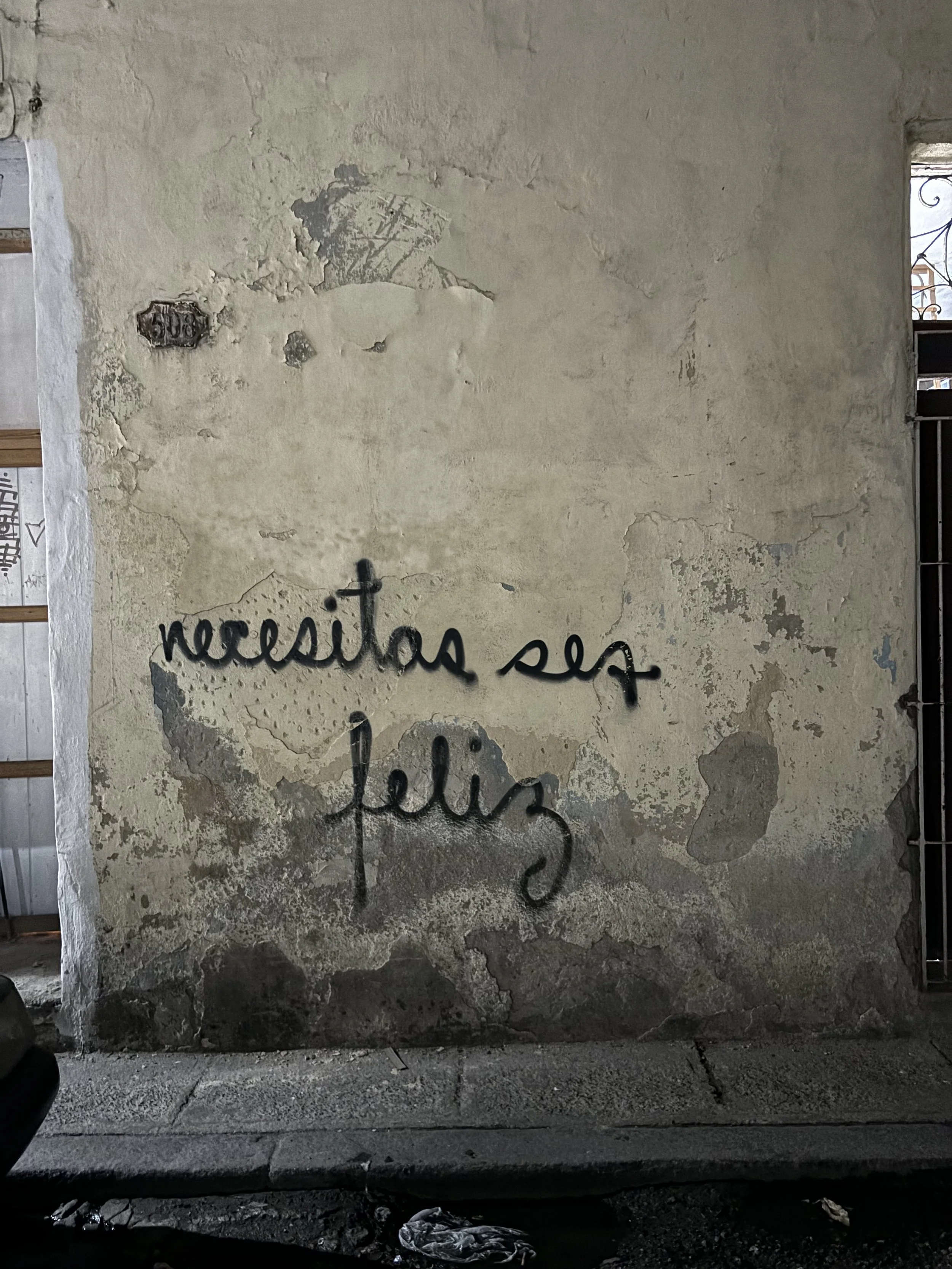 A weathered, peeling wall with graffiti in black cursive that says 'necessito ser feliz'.