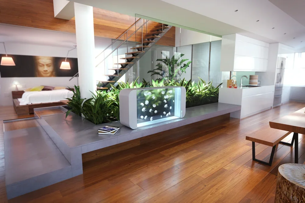 Image showcasing About | Enhance Your Aquarium Experience Today — Cubic Aquarium System