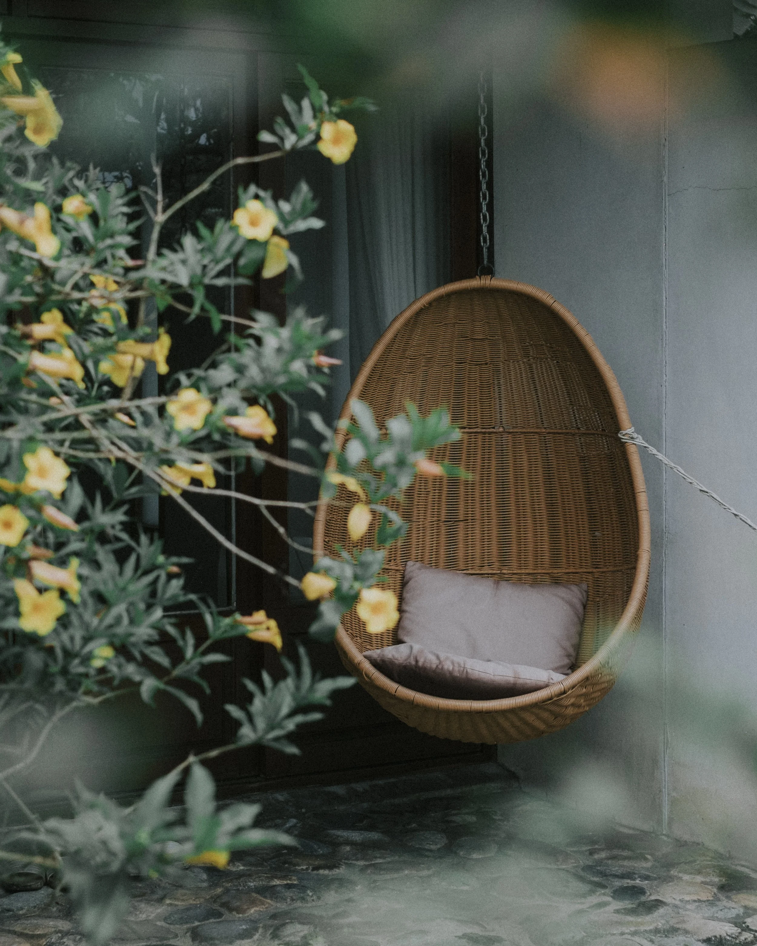 商業攝影｜藤編懸掛蛋椅搭配黃色花叢，戶外空間氛圍陳設攝影