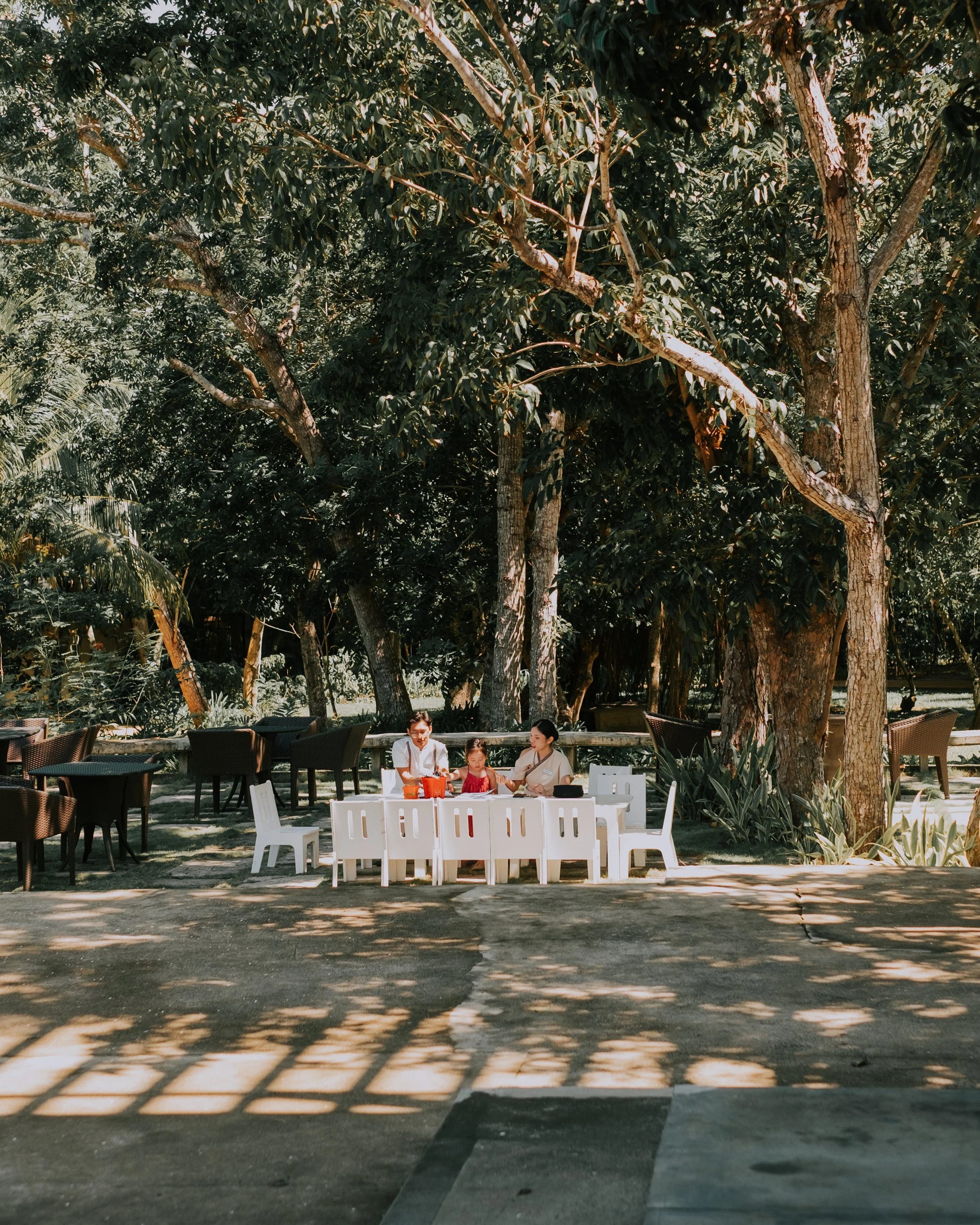 商業攝影｜大樹林蔭下戶外宴會長桌佈置，婚禮活動場地空間環境攝影