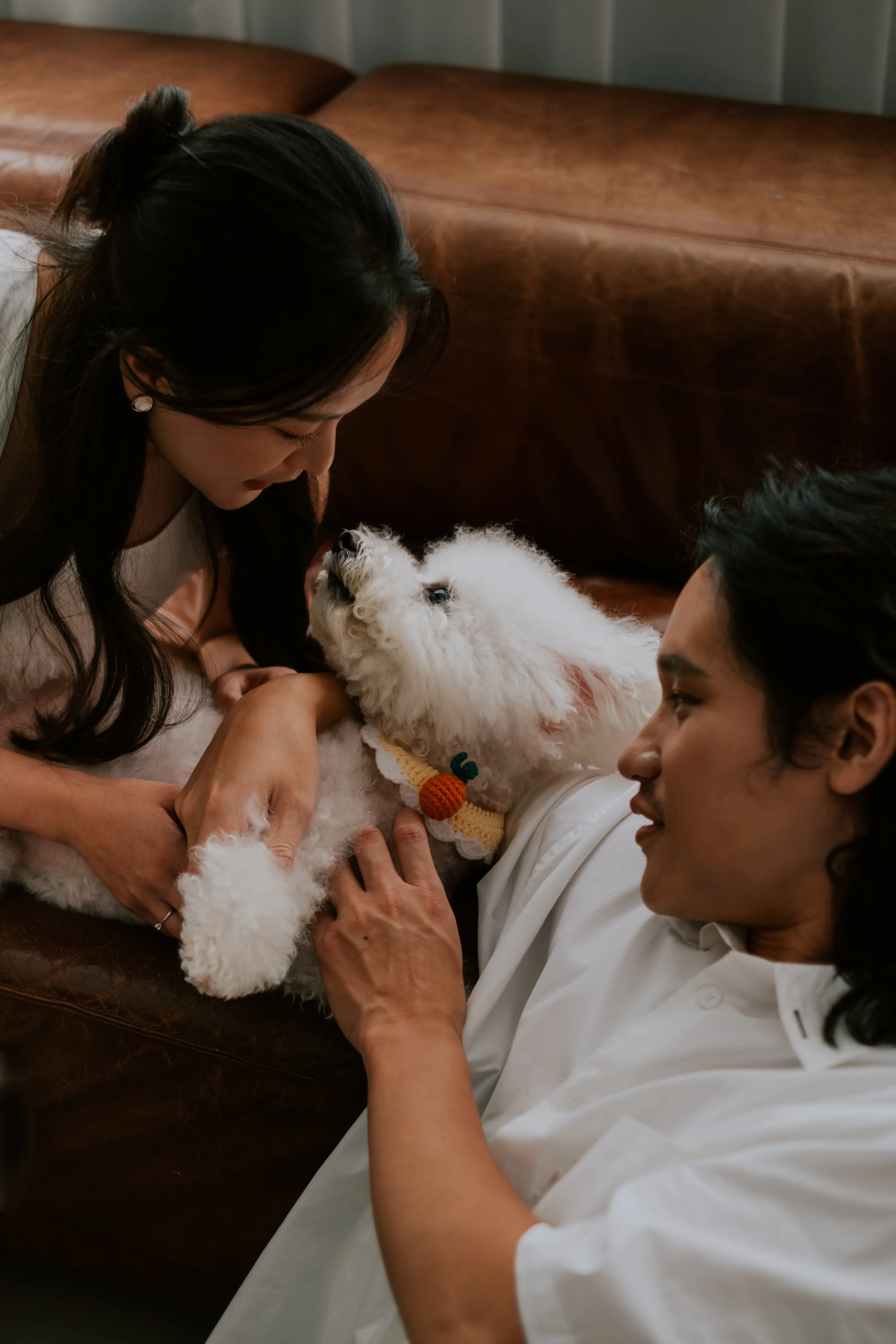 情侶寫真｜兩人窩在沙發上逗弄白色小狗，溫馨的居家日常