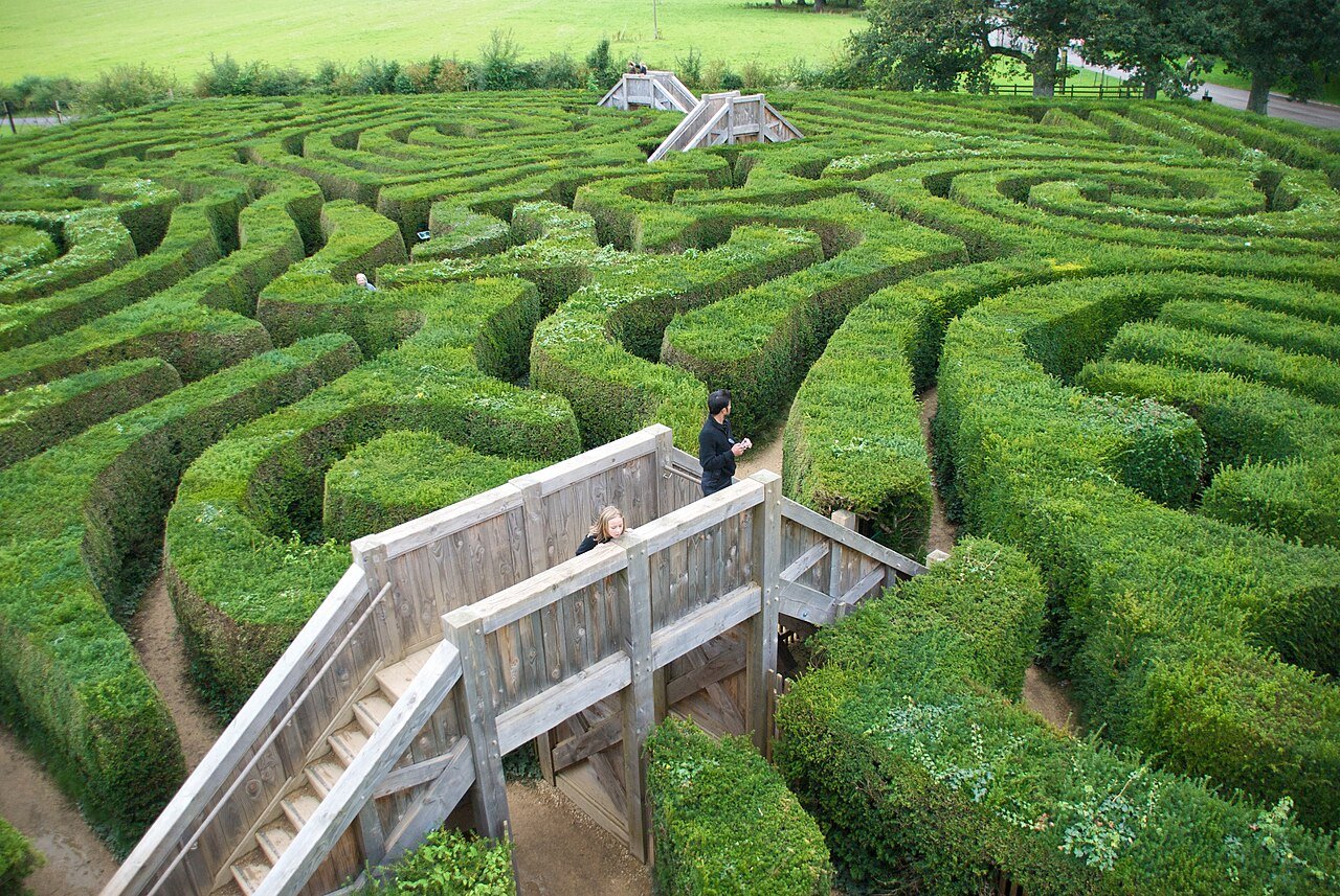 Life is A-Maze