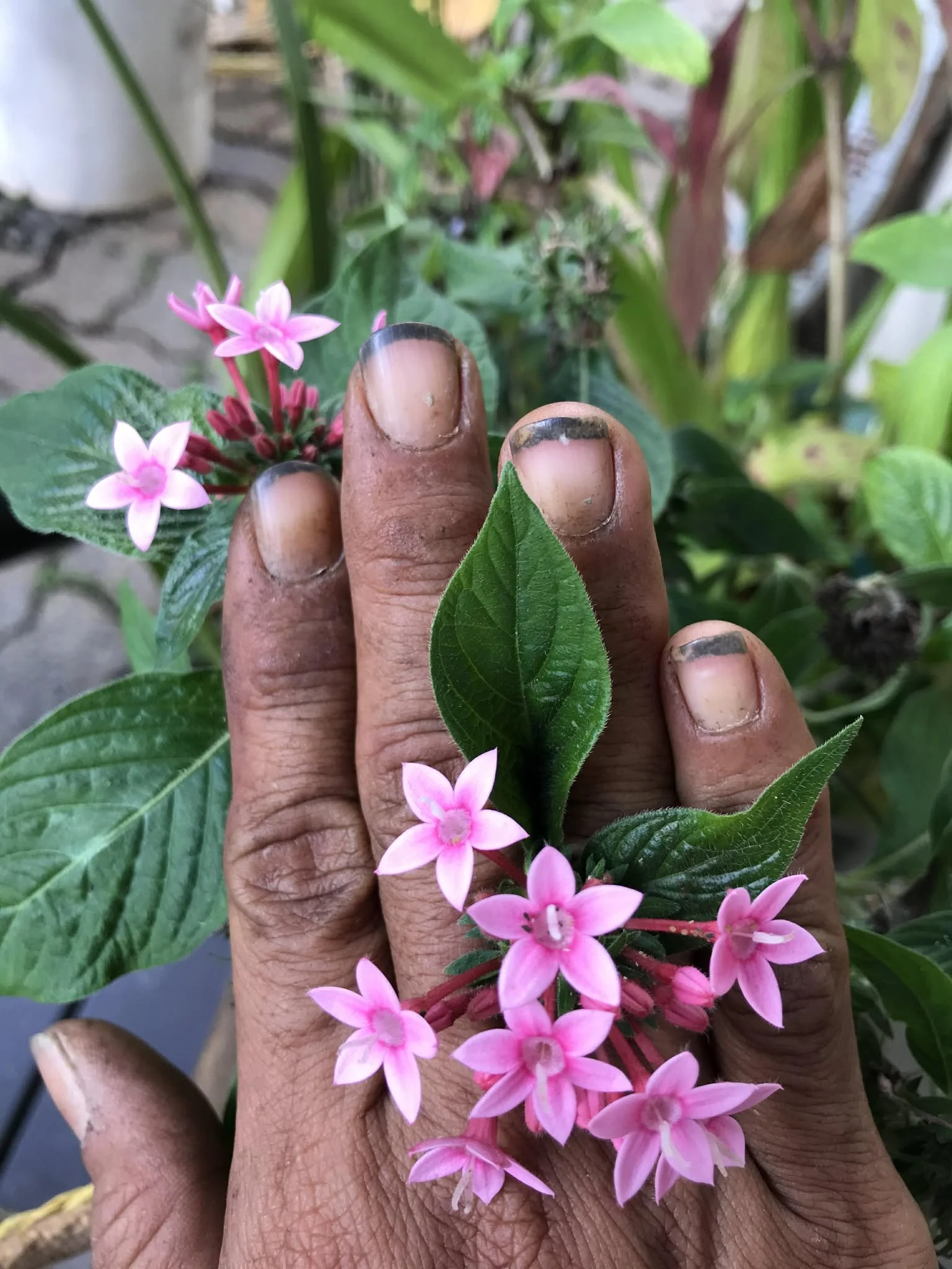 ca4b5d58-0f37-4920-8399-6ffa3c021635 (1).jpg