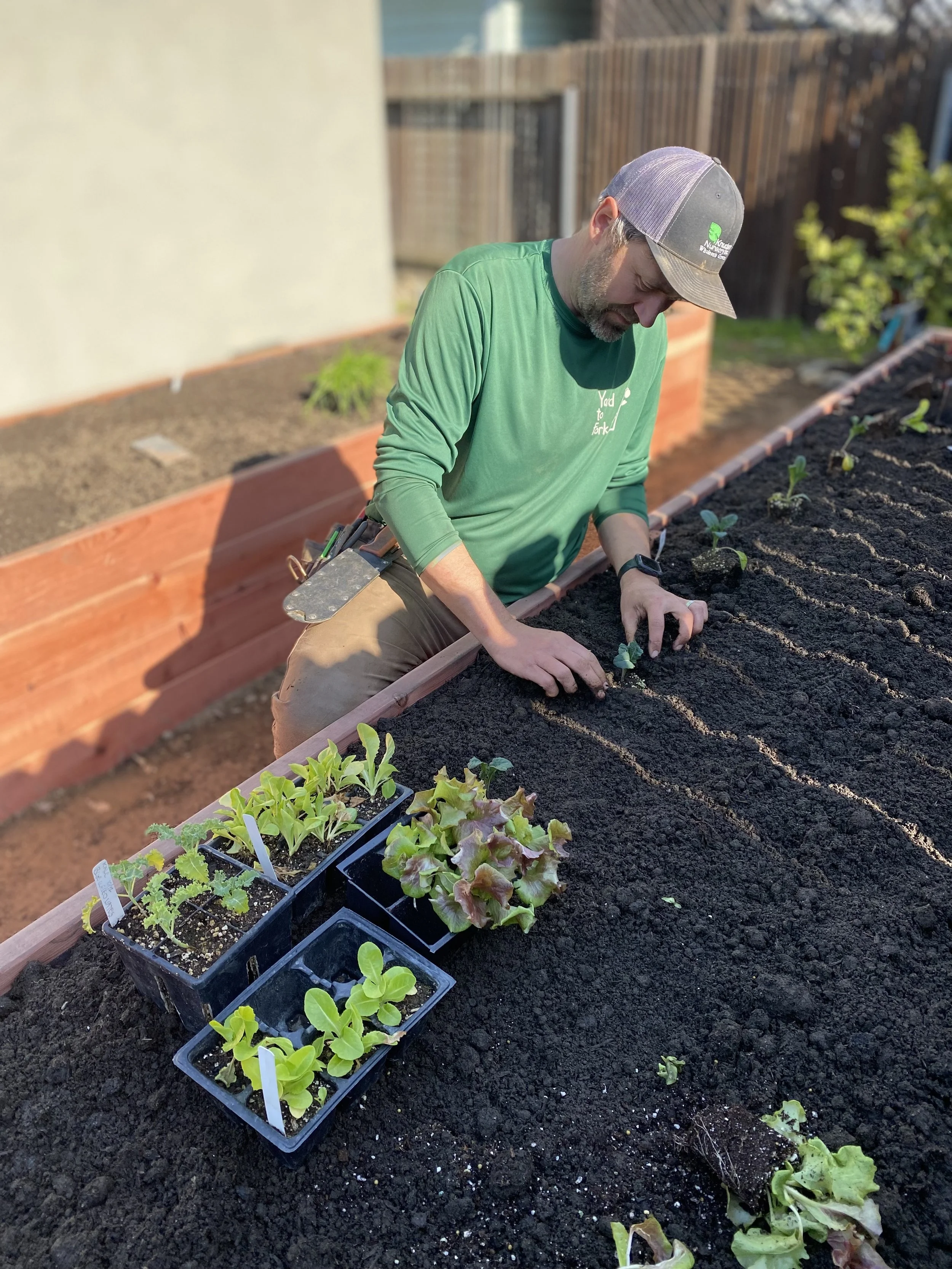 Man planting in garden bed. Urban Farmer