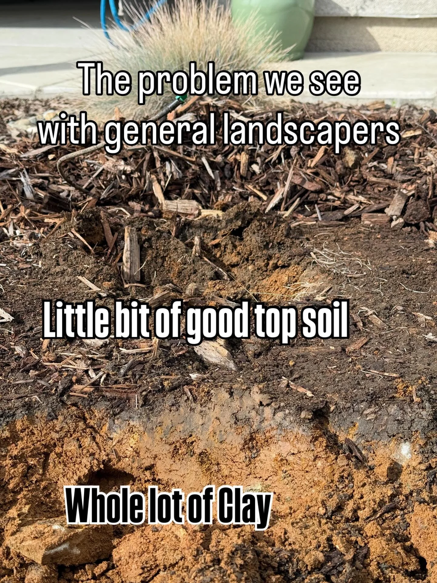 We see this time and time again&hellip; clients have a general landscaper come in and plant some fruit trees and build a couple garden beds. A year later, nothing has grown well and they are wondering what they did wrong. 

Let us tell you&hellip; it