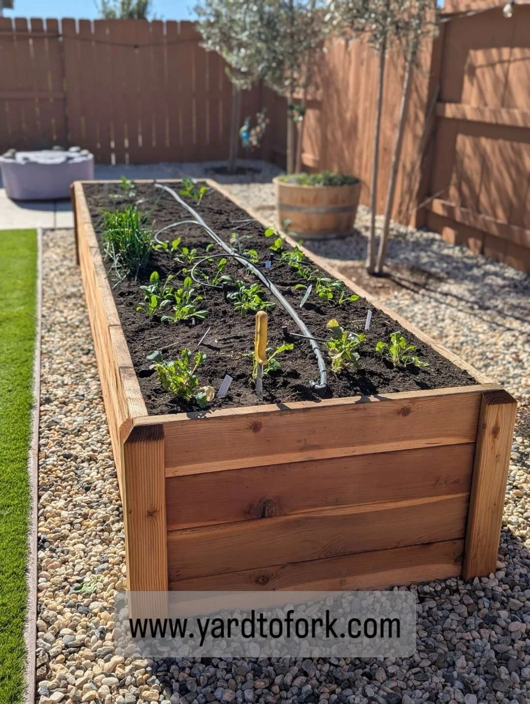 If your garden currently looks more &ldquo;leprechaun hideout&rdquo; than &ldquo;farm-to-table dream&rdquo;&hellip; we should talk.

Winter did its thing&mdash;but now it&rsquo;s time to clean it up, refresh those beds, and get everything ready for p