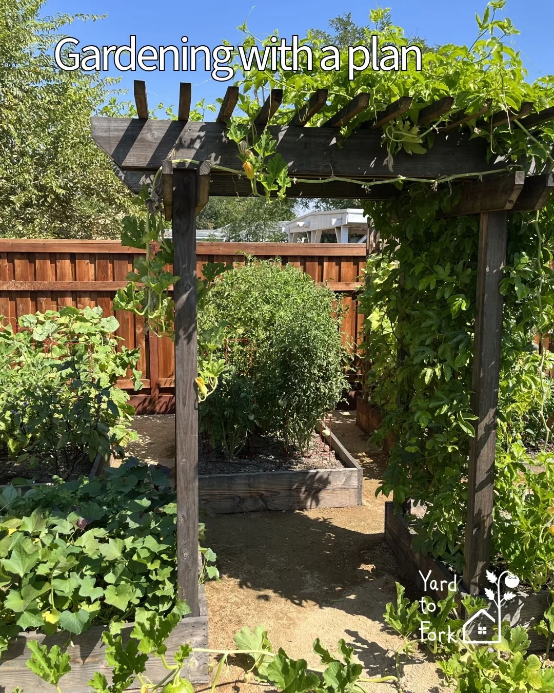 There&rsquo;s a big difference between trying a garden&hellip;
and growing one that actually produces.

Trying a garden looks like:
&ndash; Random plants from the nursery
&ndash; Guessing on spacing
&ndash; Hoping it works

Growing a productive foods