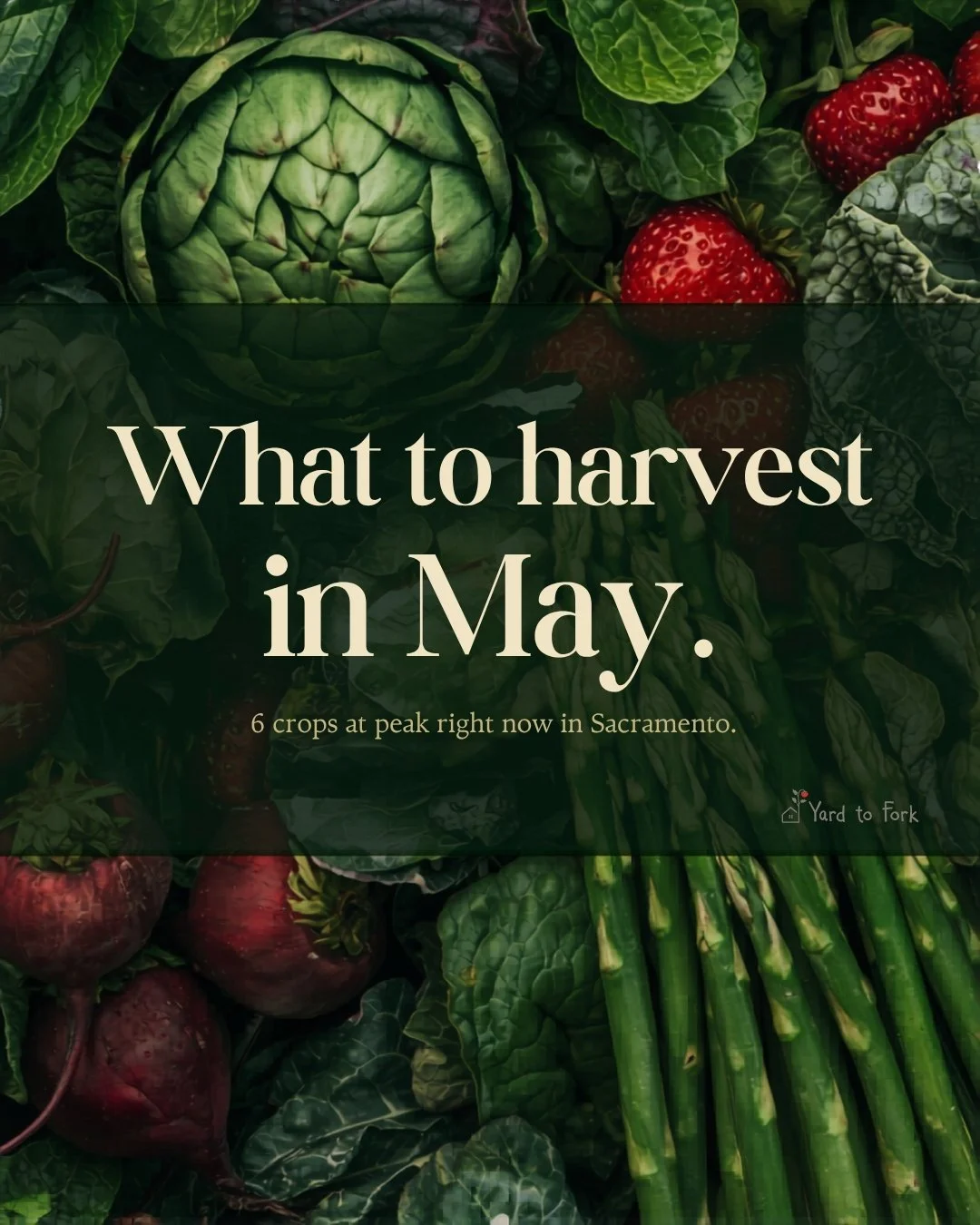 May is harvest season for some of our favorite crops &mdash; and if you know what to look for, your garden is practically a grocery store right now.

Swipe through for 6 things that are at peak in May, plus how we use each one to feed a family.

Save