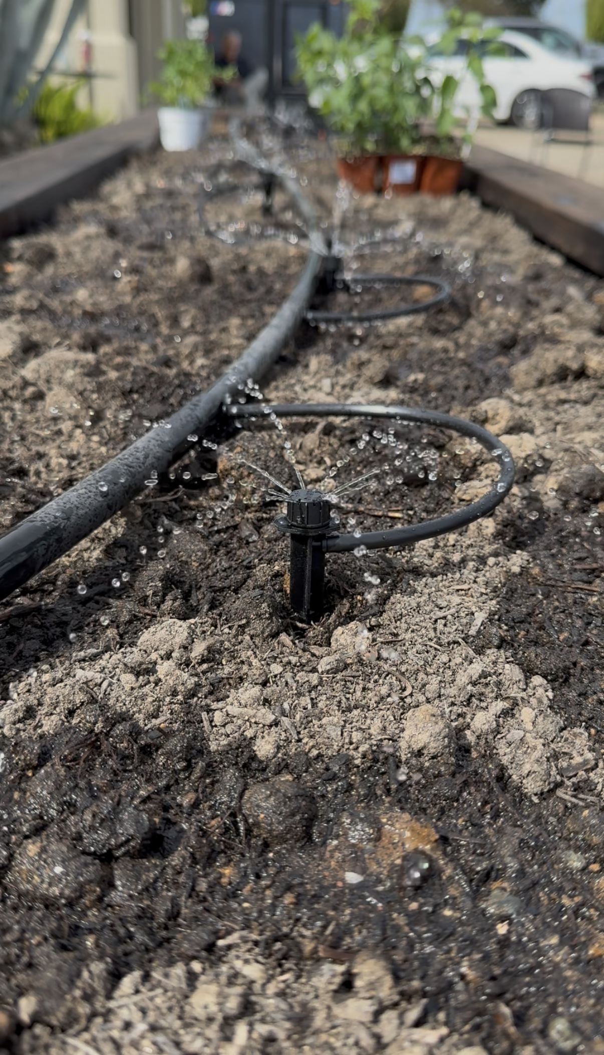 Watering Smarter, Not More: Irrigation Basics for Sacramento Food Gardens