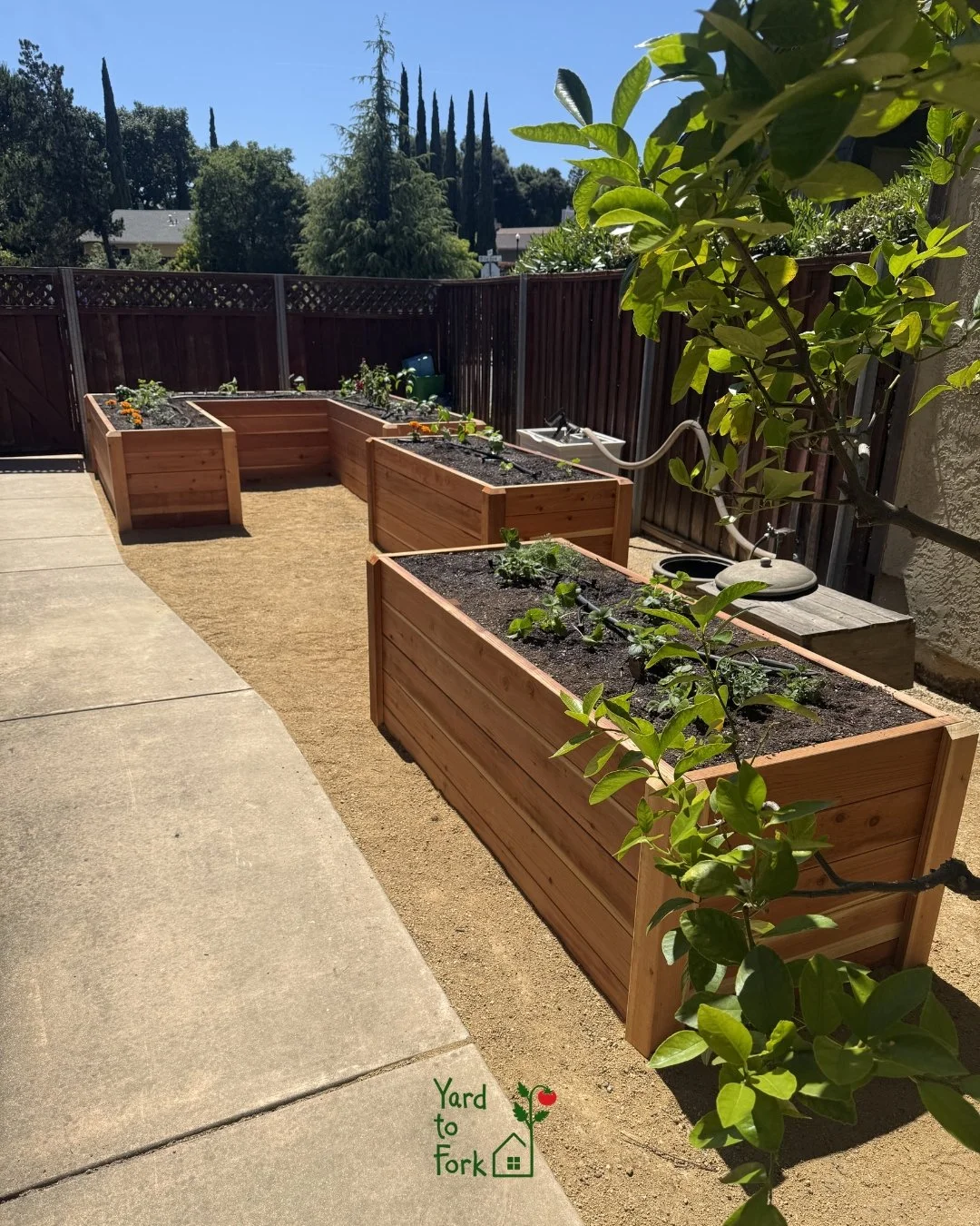 There's a moment we love &mdash; when a client walks us to the "problem area."

It's usually tucked in a corner. A little forgotten. Maybe there are some pots that haven't been watered in a while, some bare dirt, some good intentions that j