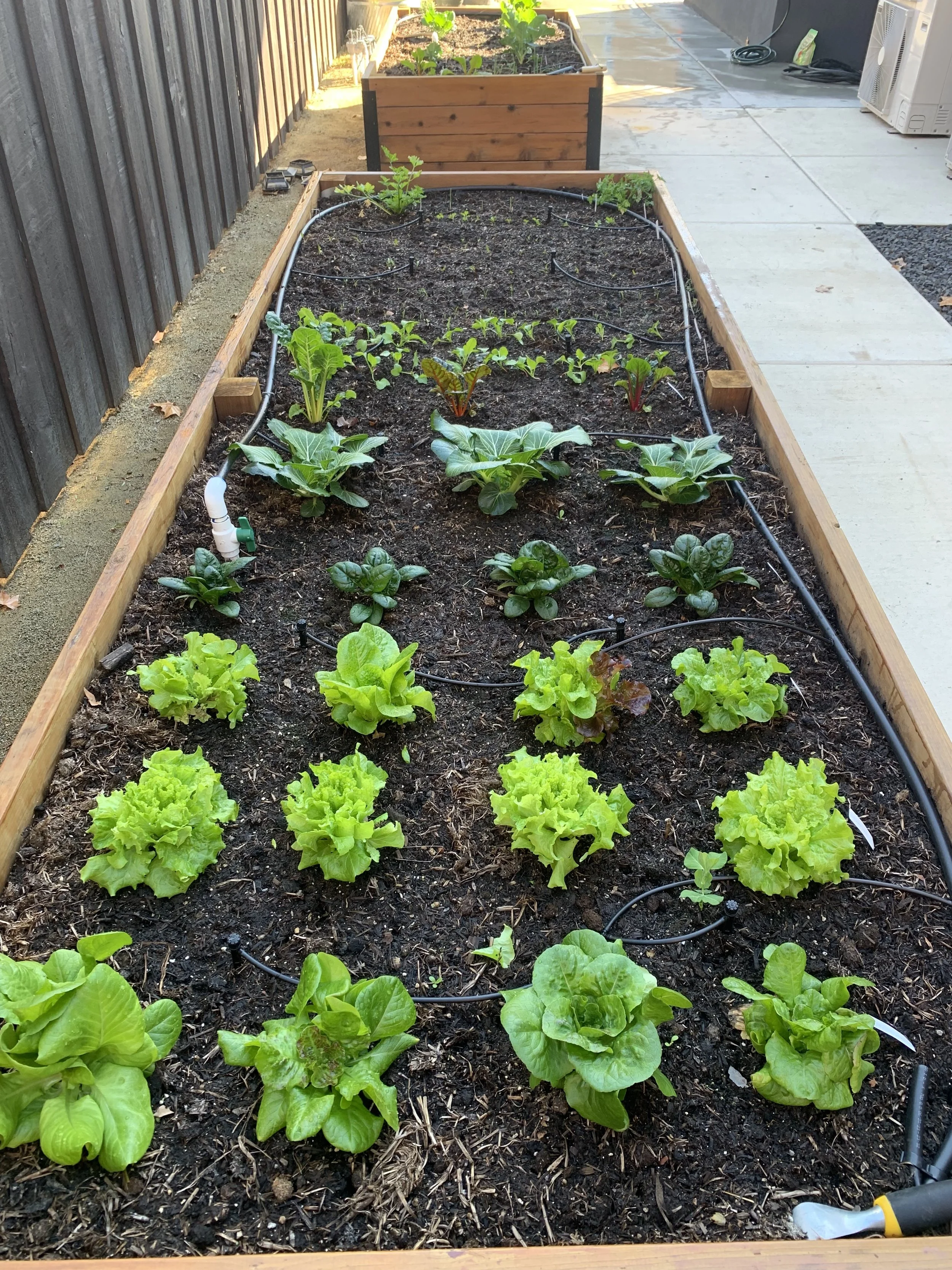 seasonal garden refresh