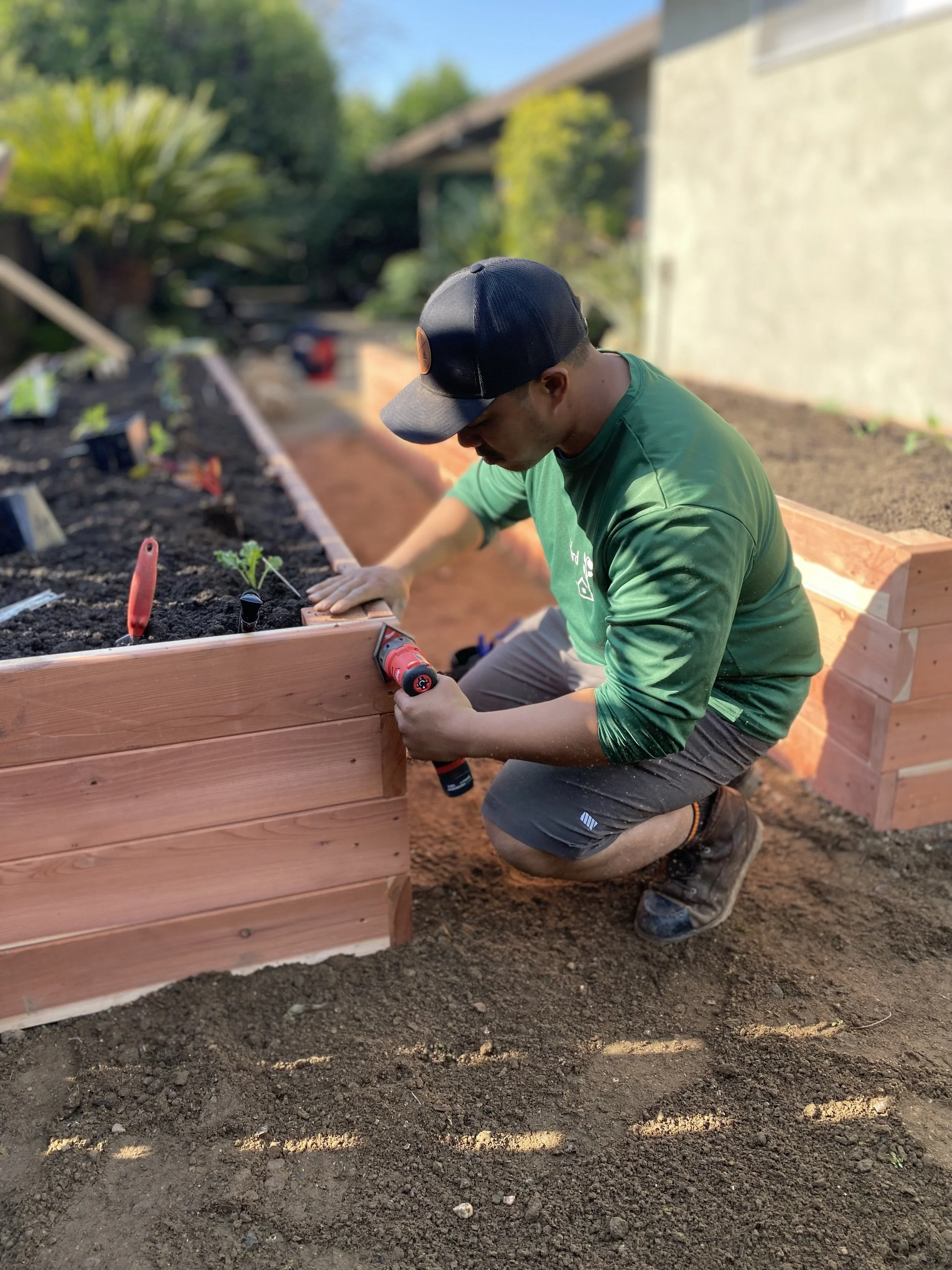 man drilling in to make garden bed. lead foodscape installer