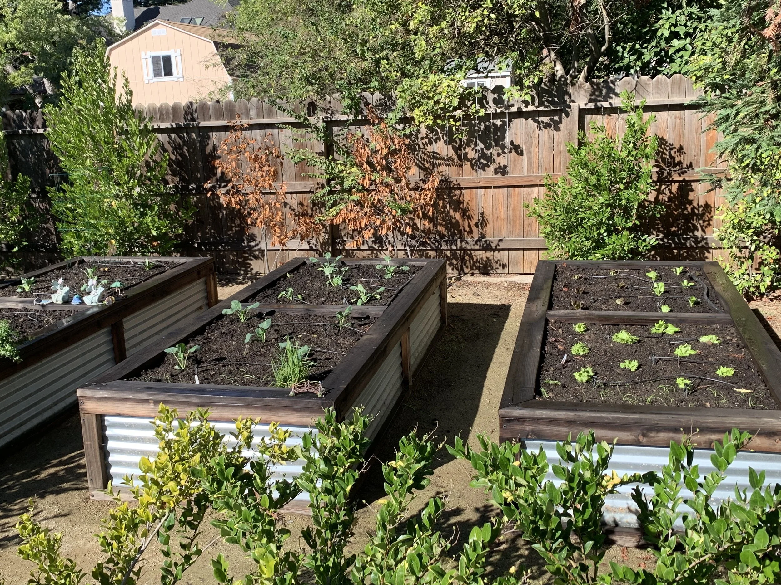 seasonal garden refresh