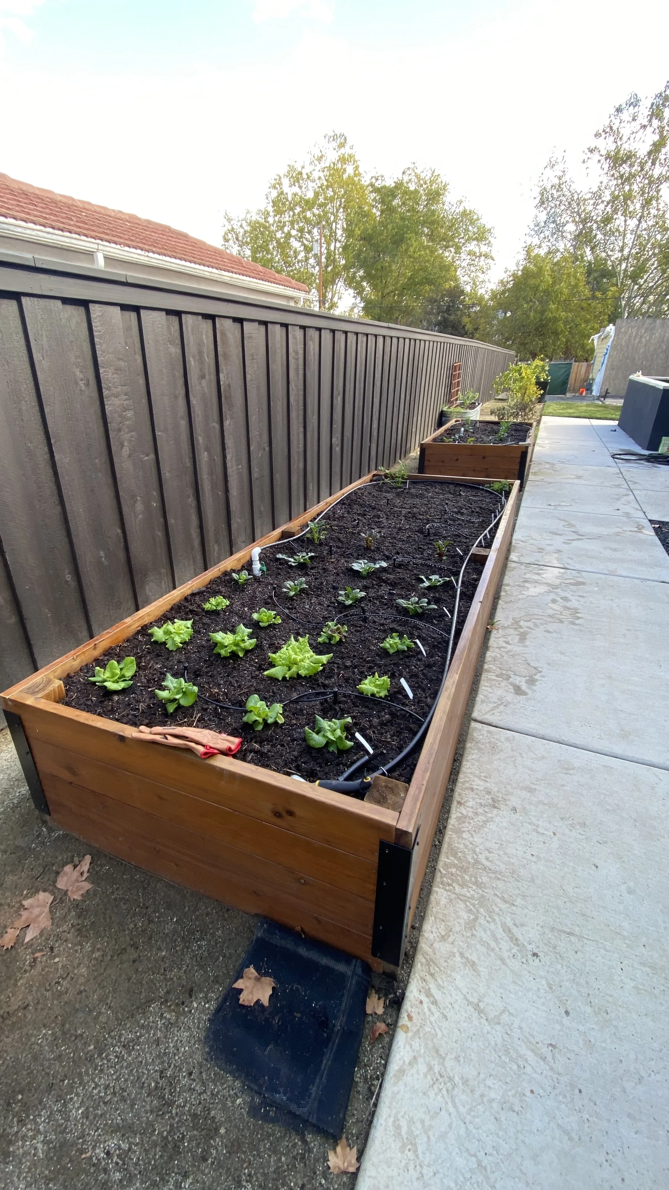 seasonal garden refresh