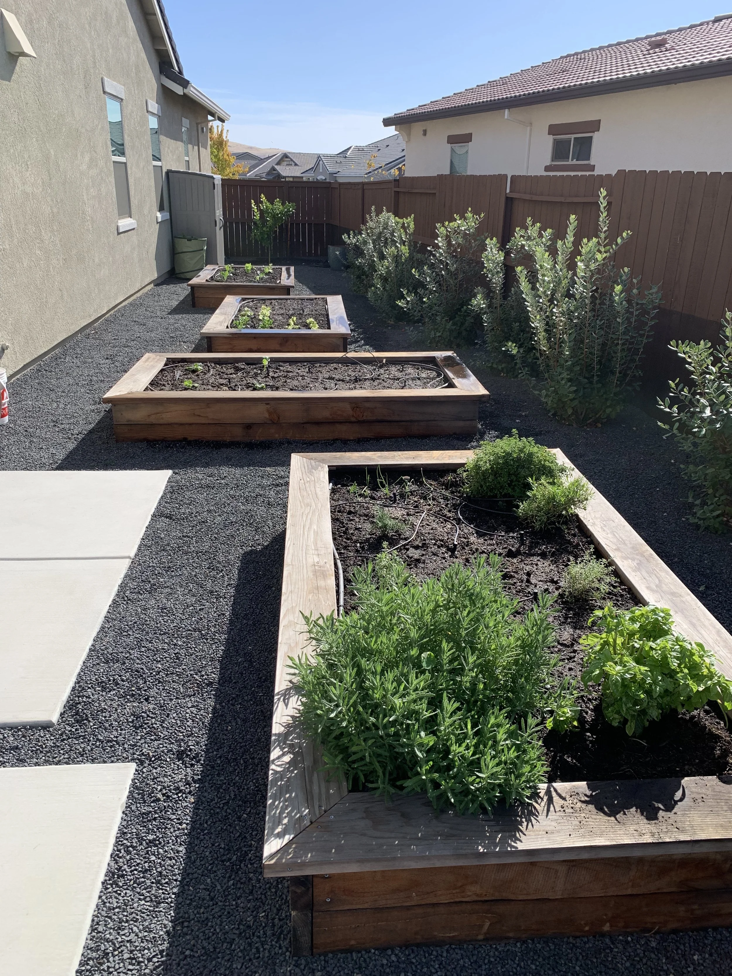 seasonal garden refresh