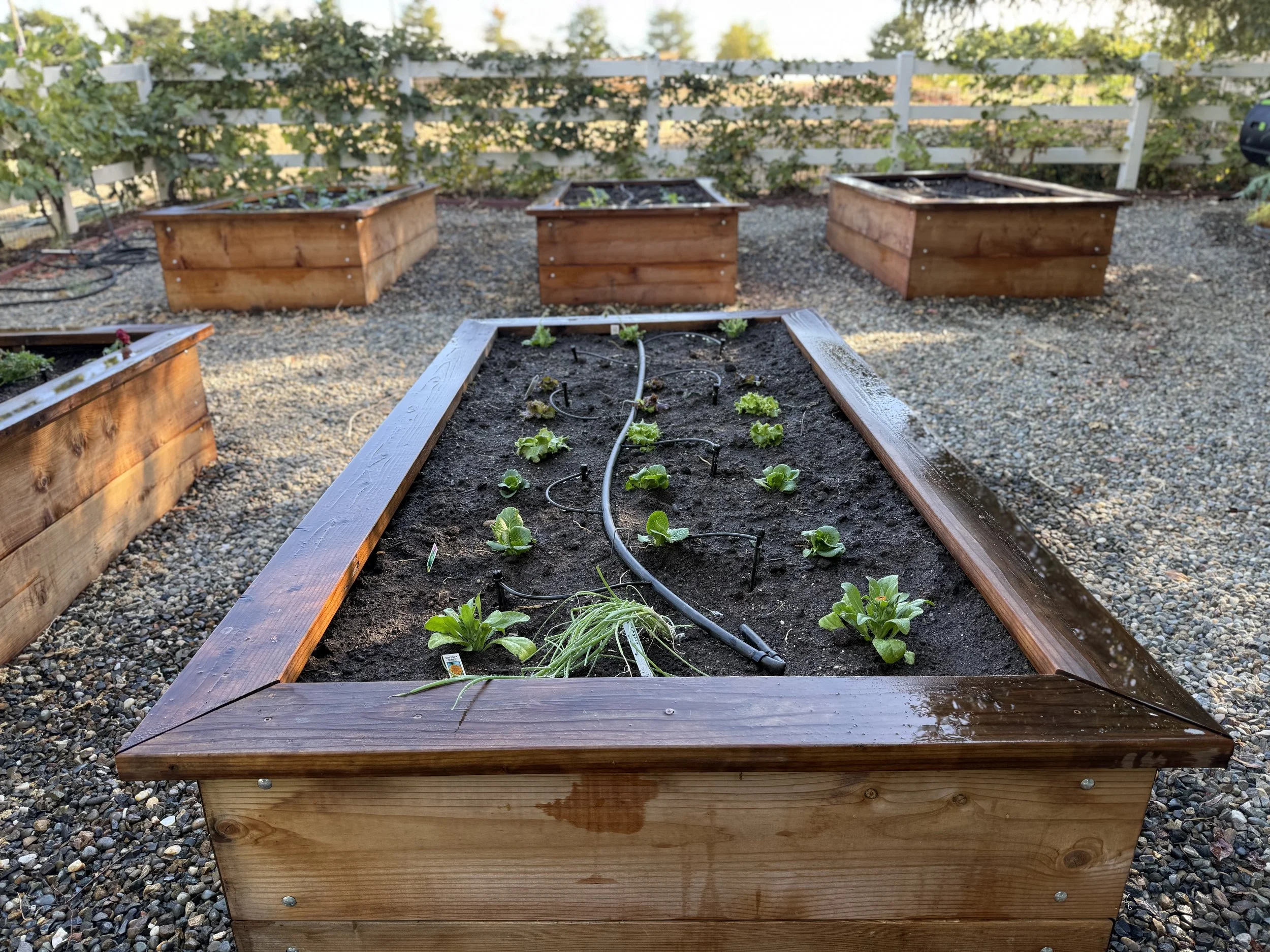 seasonal garden refresh