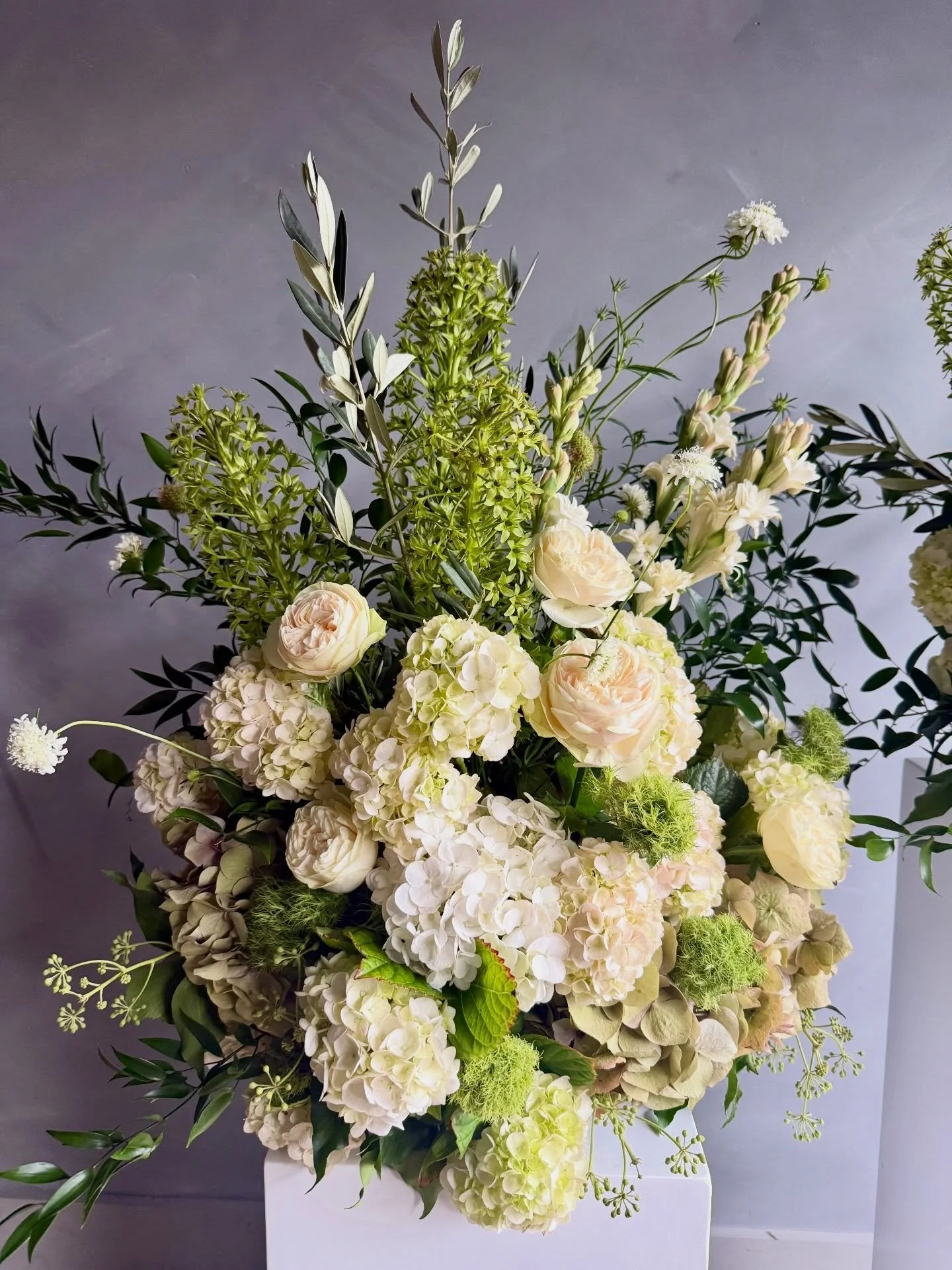 White and green! Always classic. A very nice contrast from the traditional natives 🍃