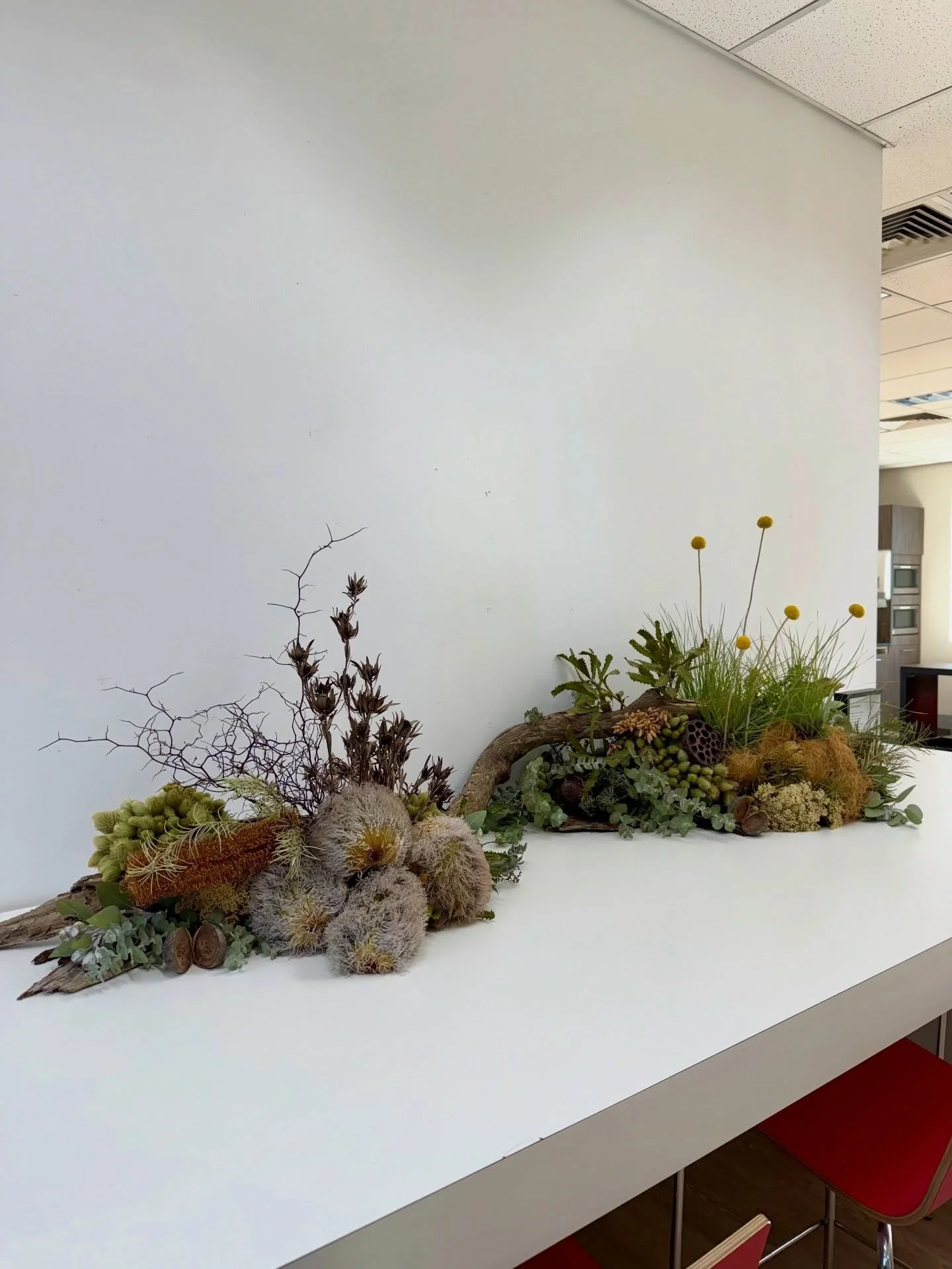 Want your event to truly stand out?
Floral installations are a long-lasting statement piece, installed on site and designed to last without water. 

Loved creating this one for @boralaustralia&rsquo;s NAIDOC celebration last year.